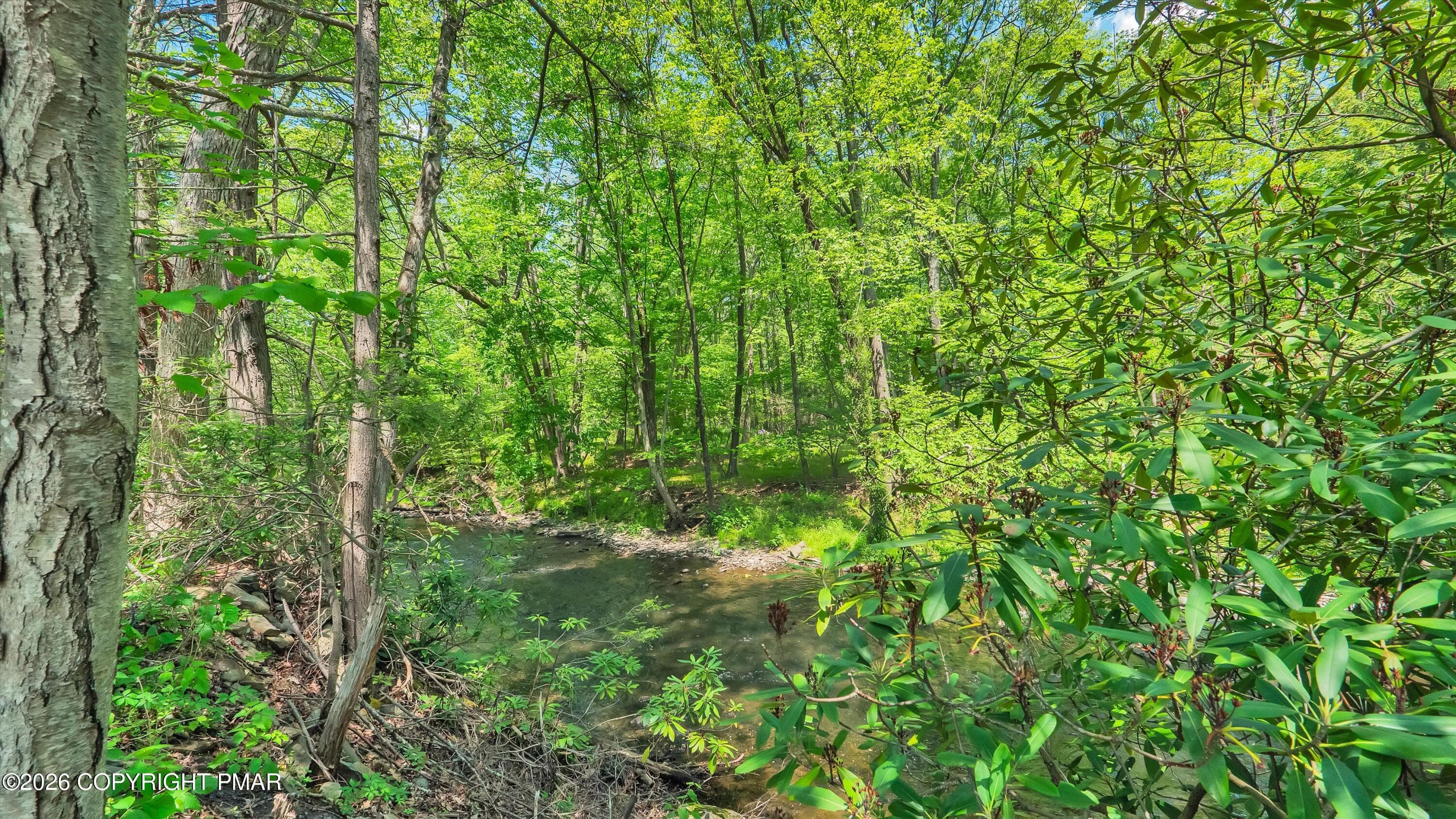 31-DSC01250 - 1462 Pocono Lane, Bartonsville, PA 18321, Bartonsville