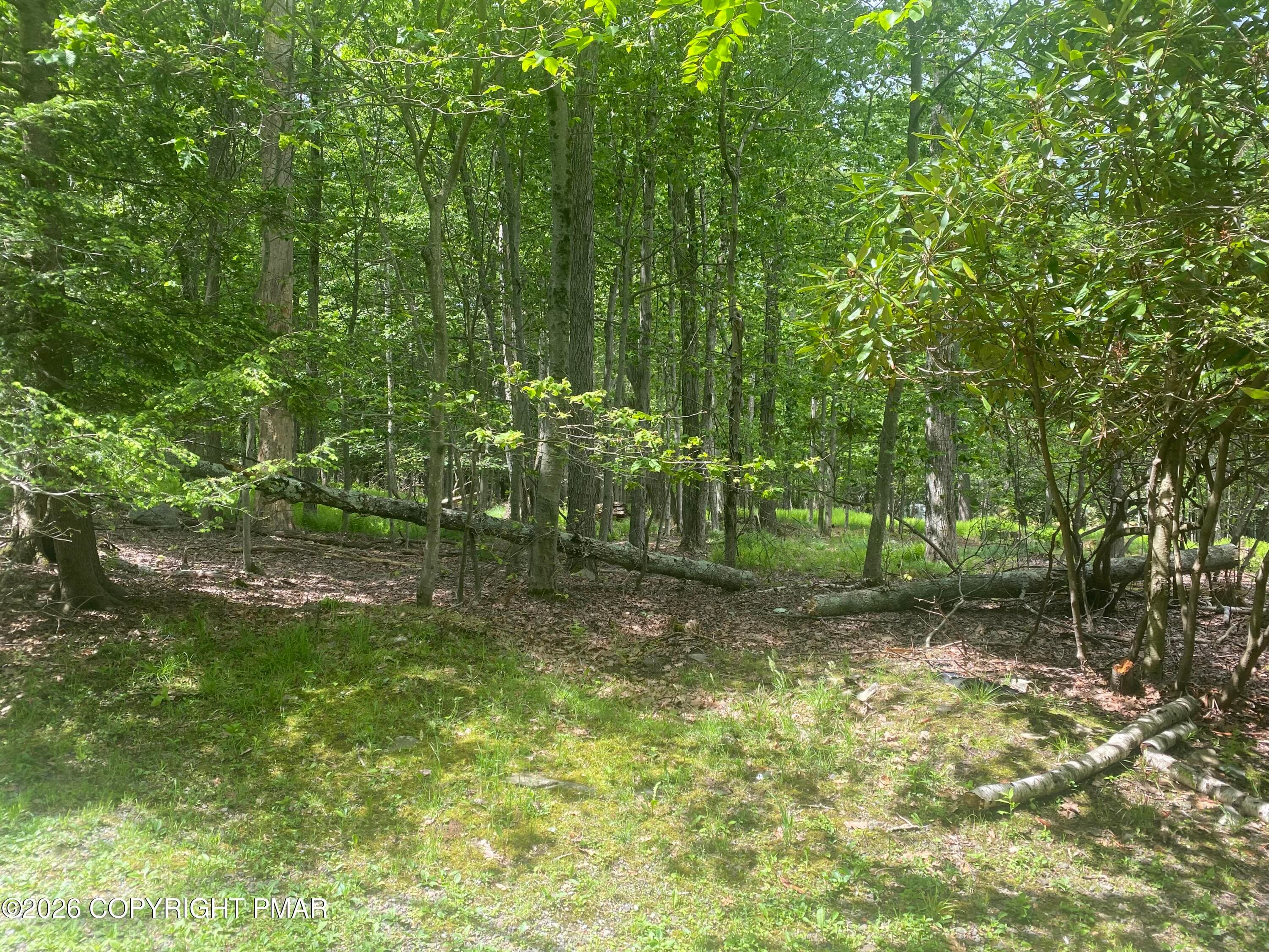 Lot 86 dd - 86 Lookout Point Road, Canadensis, PA 18325, Canadensis