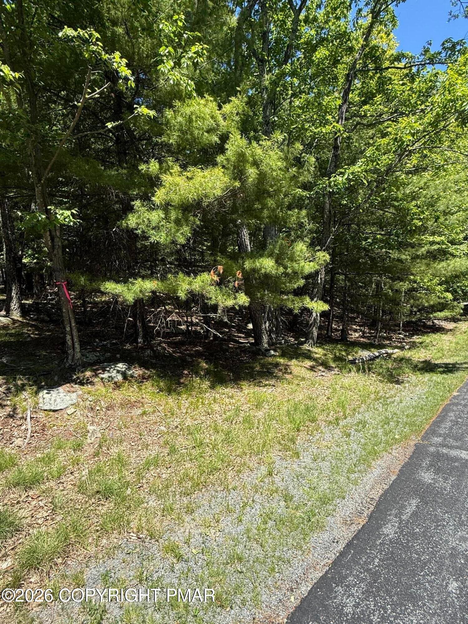 IMG_0812 - Song Mountain Drive, Tafton, PA 18464, Tafton