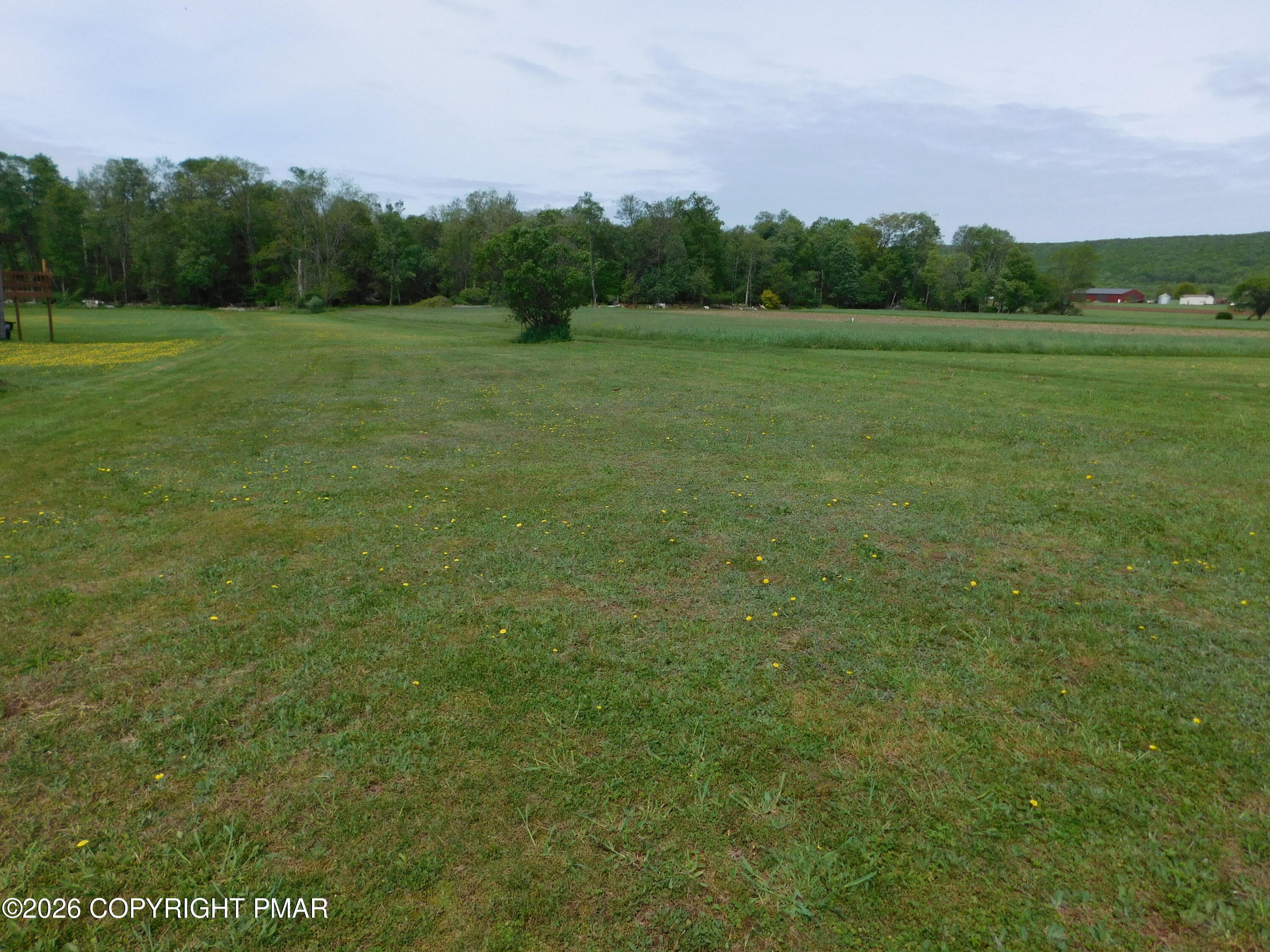 Yard - 3551 Quakake Road, Weatherly, PA 18255, Weatherly