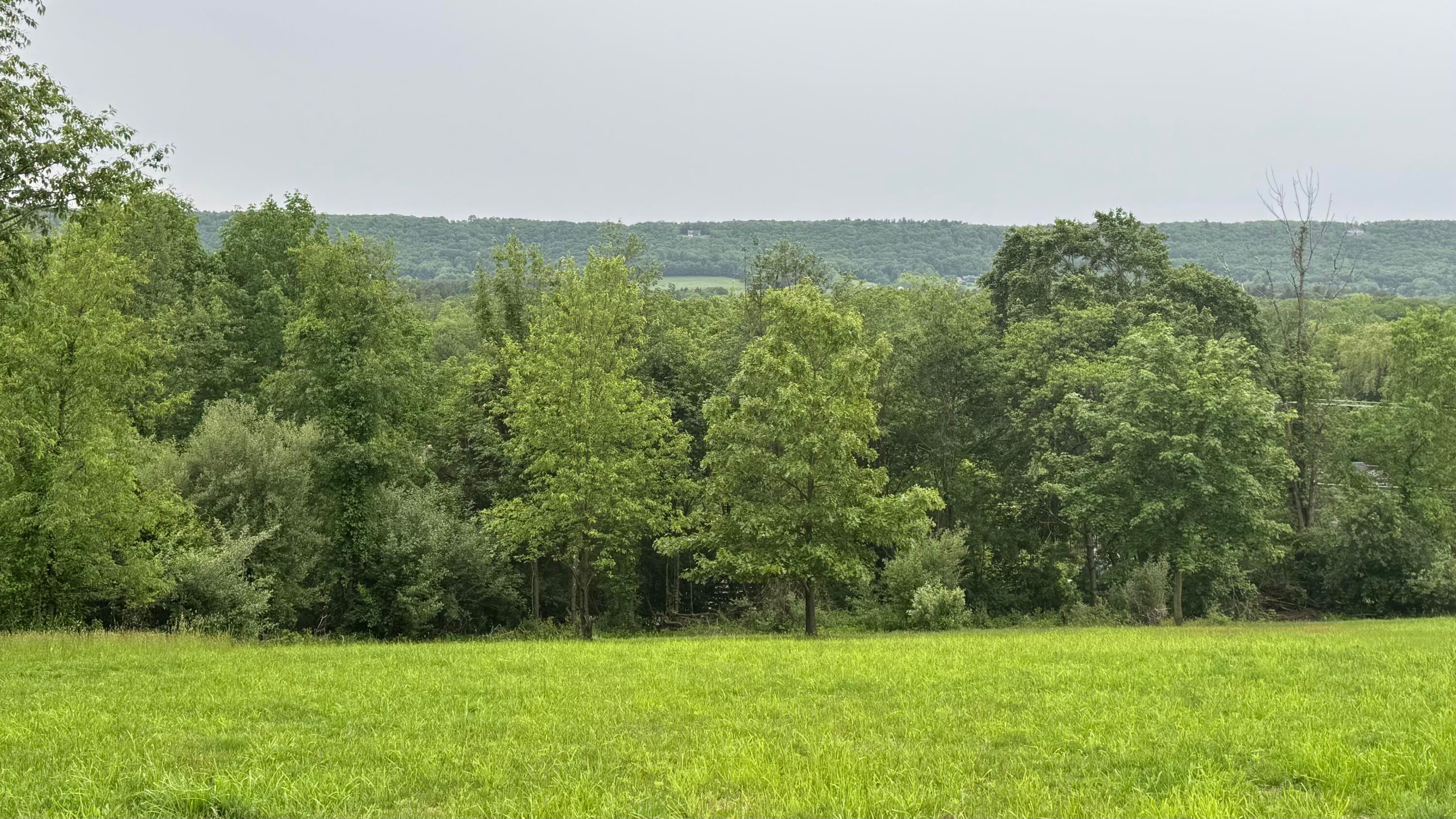 Ashley Ct H15 Court, Kunkletown, PA 18058