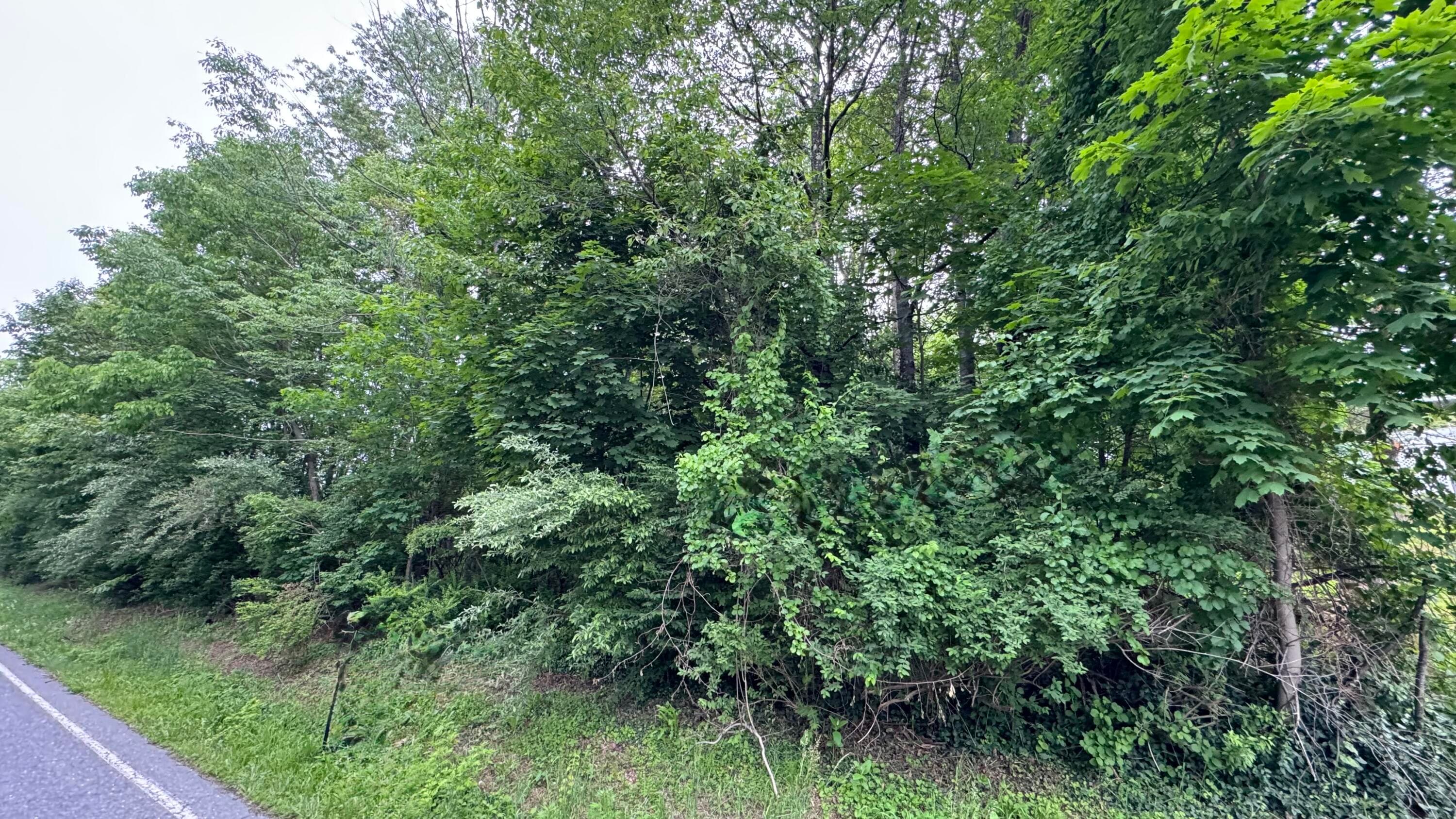 IMG_0927 - Ashley Ct H15 Court, Kunkletown, PA 18058, Kunkletown