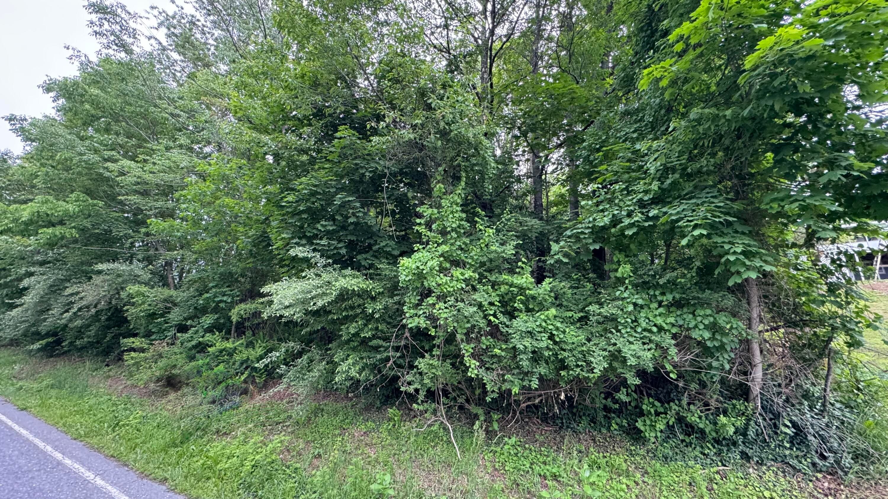 IMG_0926 - Ashley Ct H15 Court, Kunkletown, PA 18058, Kunkletown