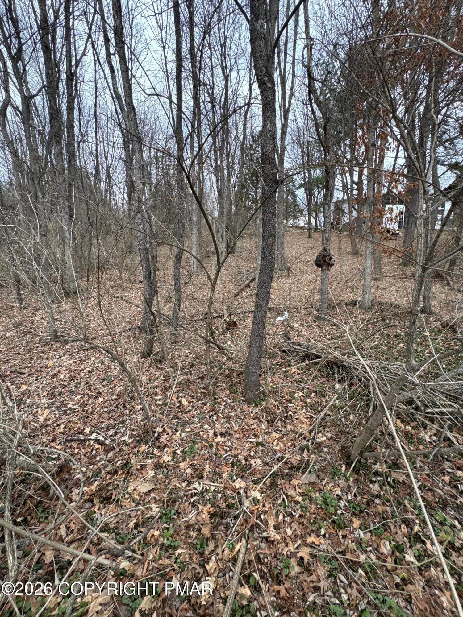 IMG_7764 - Ashley Ct H15 Court, Kunkletown, PA 18058, Kunkletown