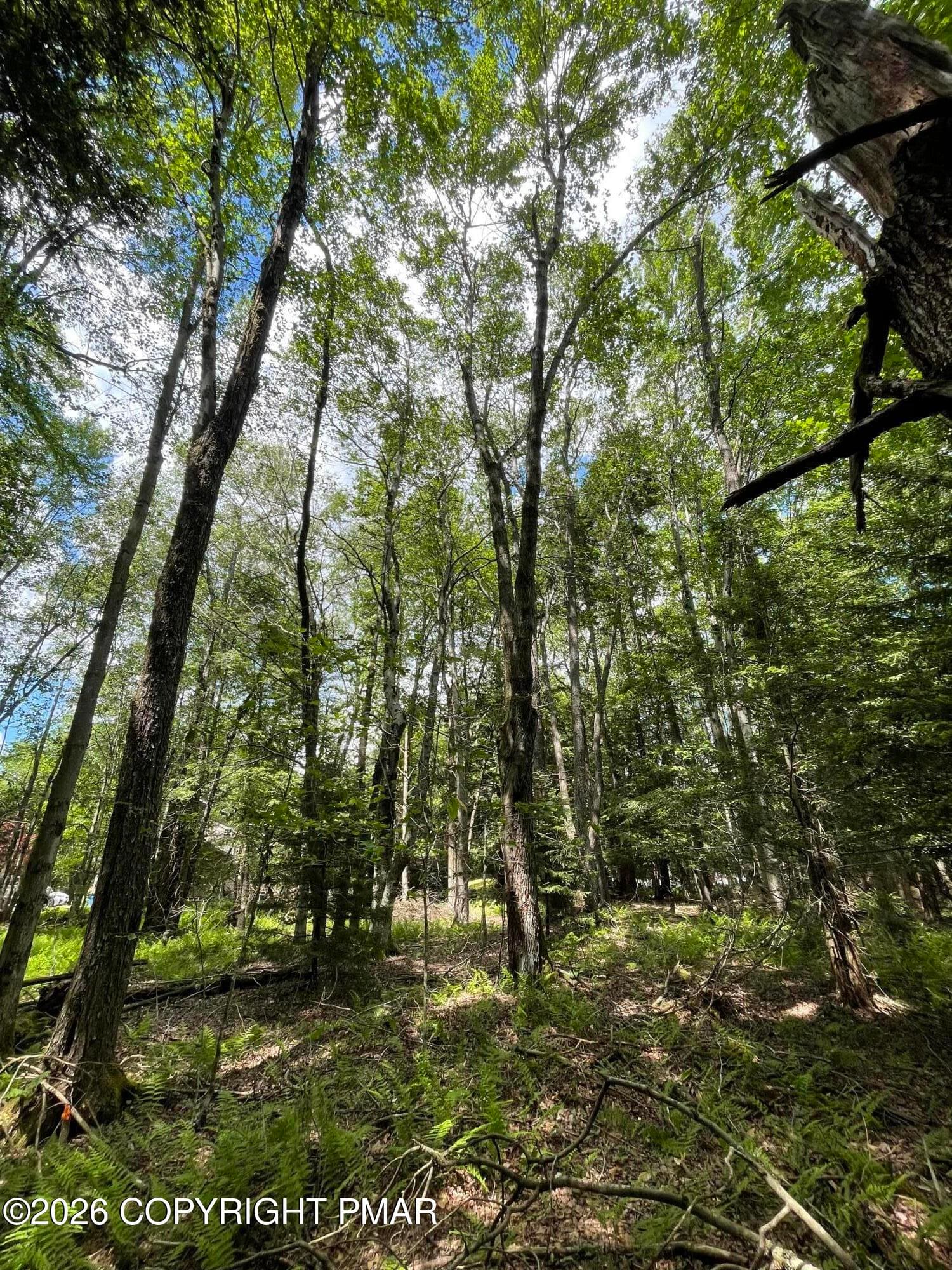 Pine Rd 67 Road, Pocono Pines, PA 18350