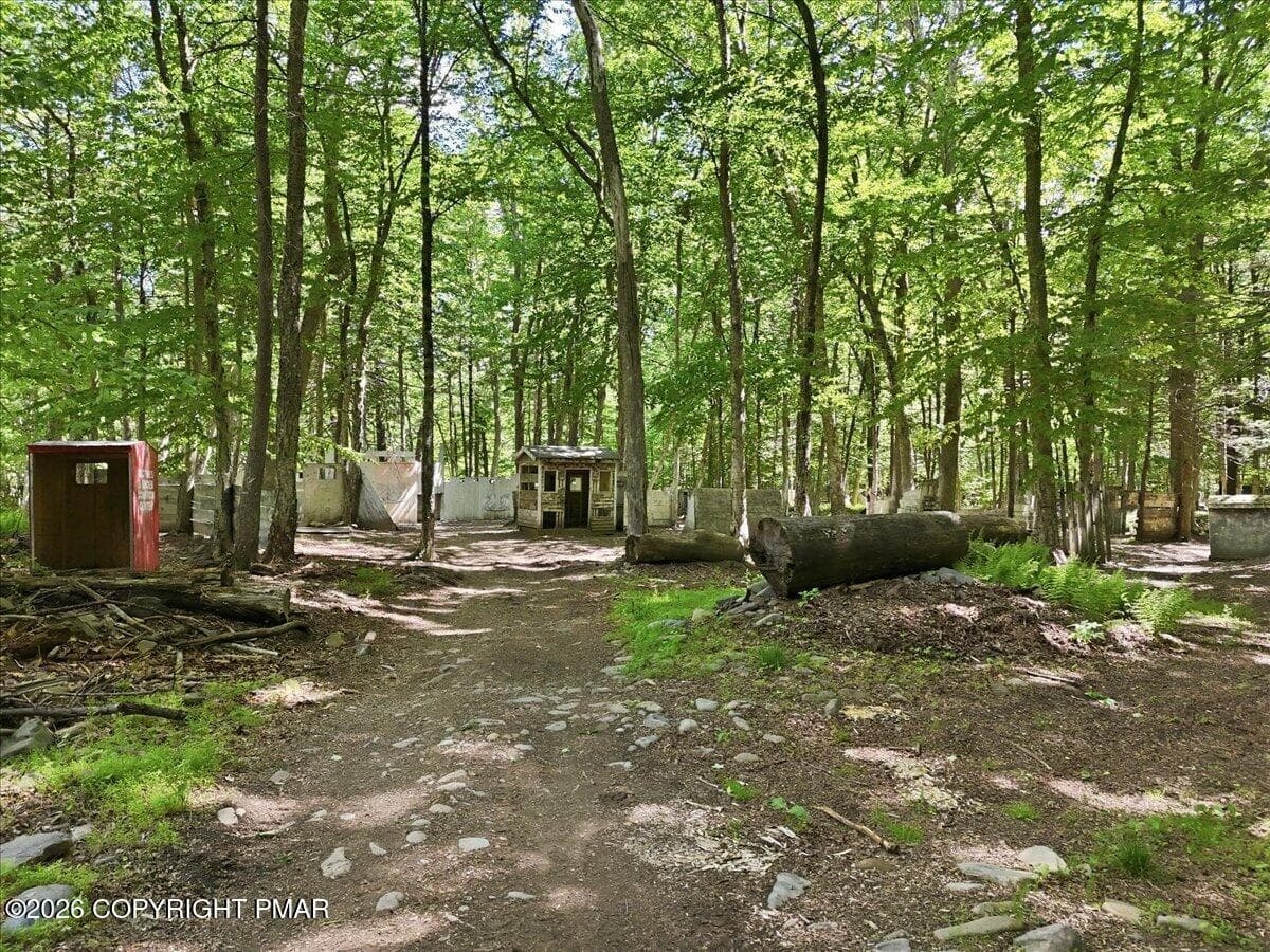 54-034_dji_fly_20260529_103216_0126_1780 - 145 Camelback Road, Tannersville, PA 18372