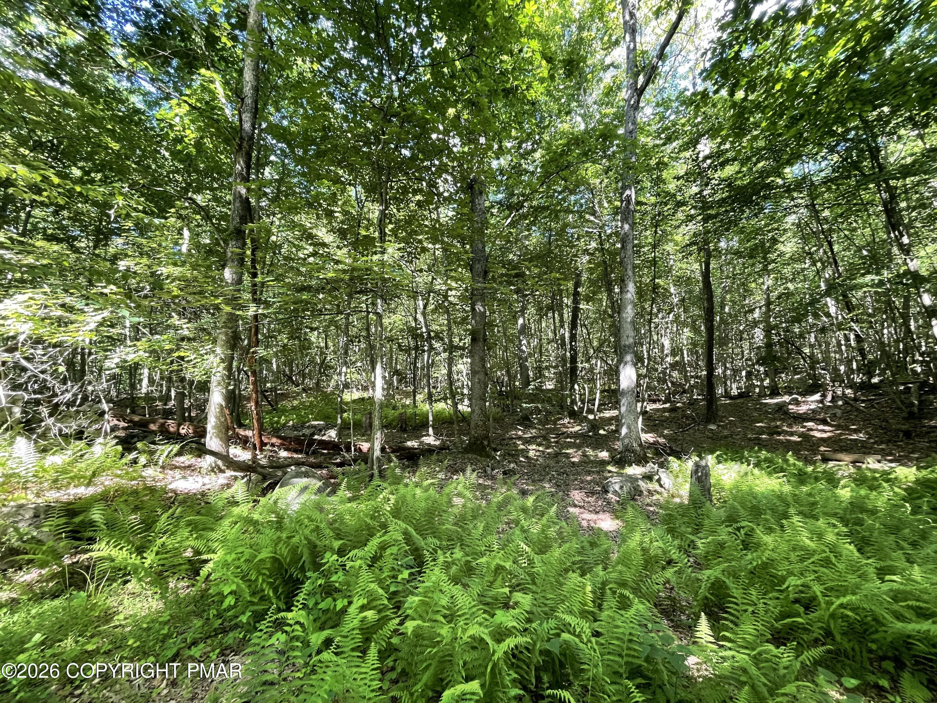Woods - 111 Woods Way, Cresco, PA 18326, Cresco