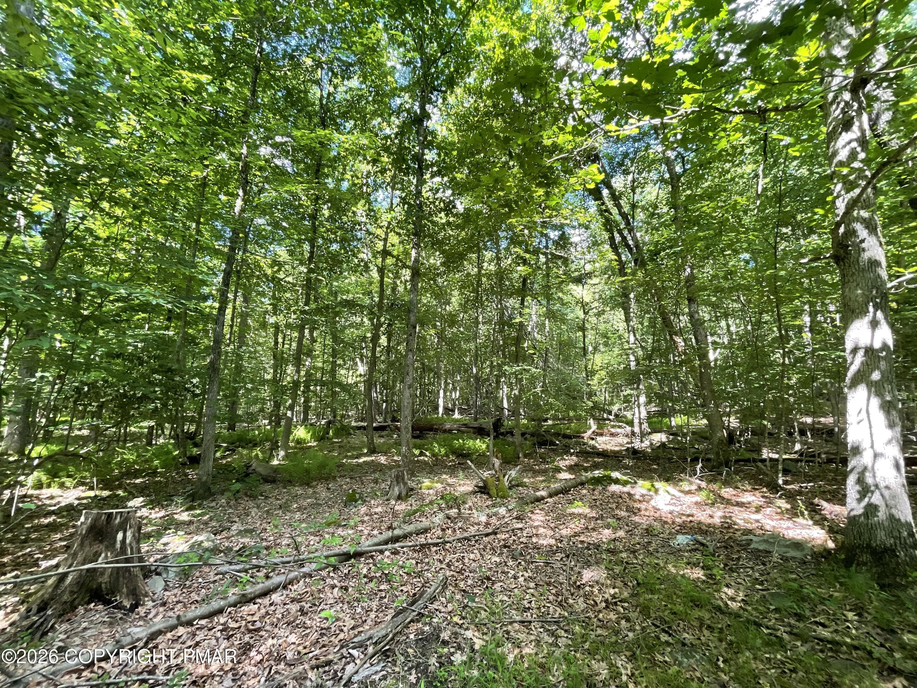 Woods - 111 Woods Way, Cresco, PA 18326, Cresco