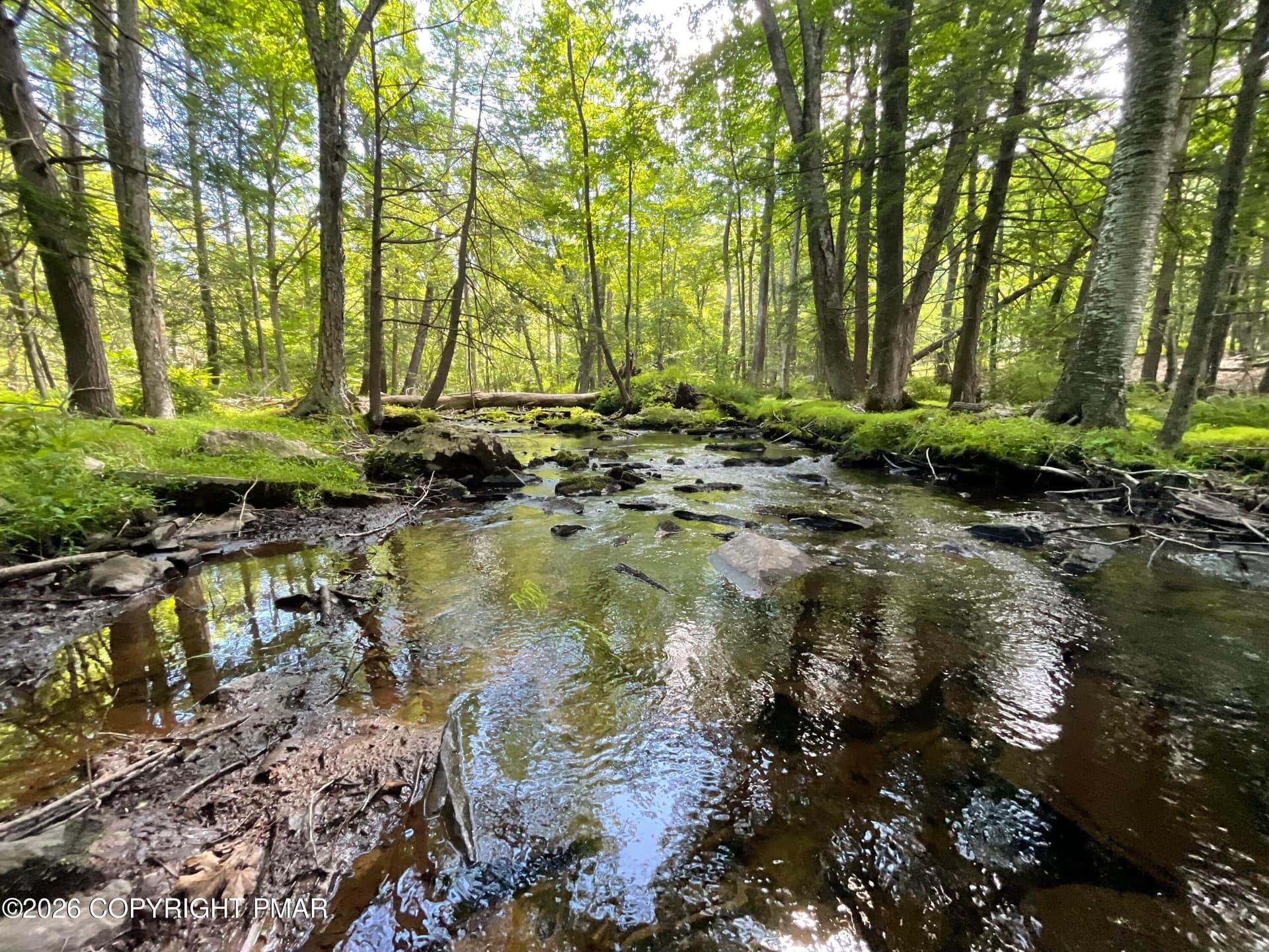Creek - 117 Woods Way, Cresco, PA 18326