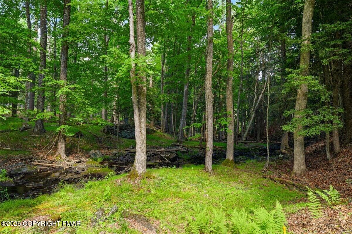 Yard - 178 Westcolang Road, AKA 176 WESTCOLANG, Lackawaxen, PA 18435, Lackawaxen
