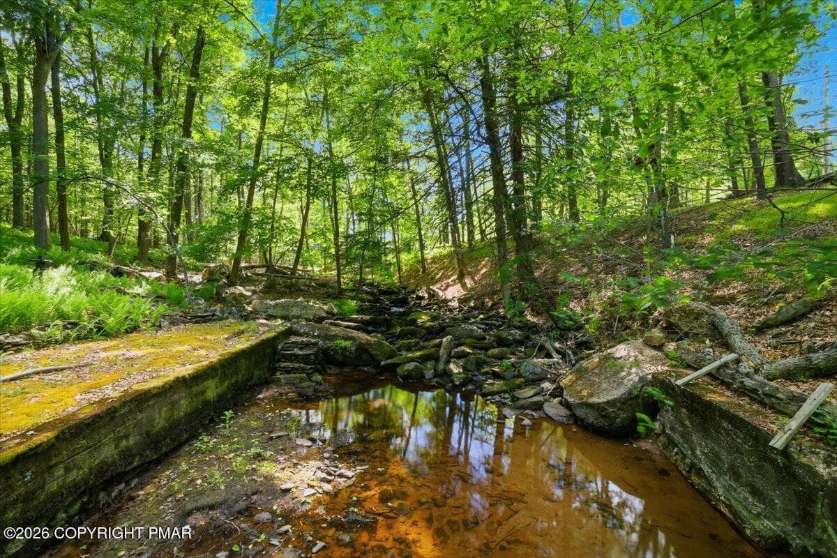 Waterway - 178 Westcolang Road, AKA 176 WESTCOLANG, Lackawaxen, PA 18435, Lackawaxen