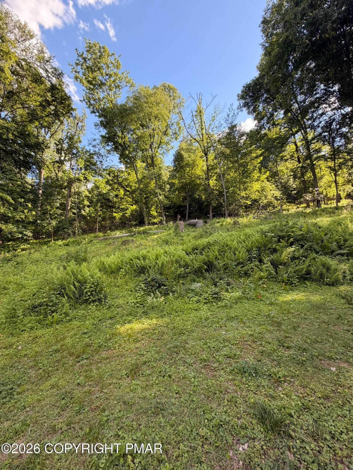 Yard - 4192 River Road, Mount Bethel, PA 18343, Mount Bethel