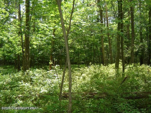 1.5 ac lot 123 delbert - 132 Delbert Drive, Covington Township, PA 18424, Covington Township