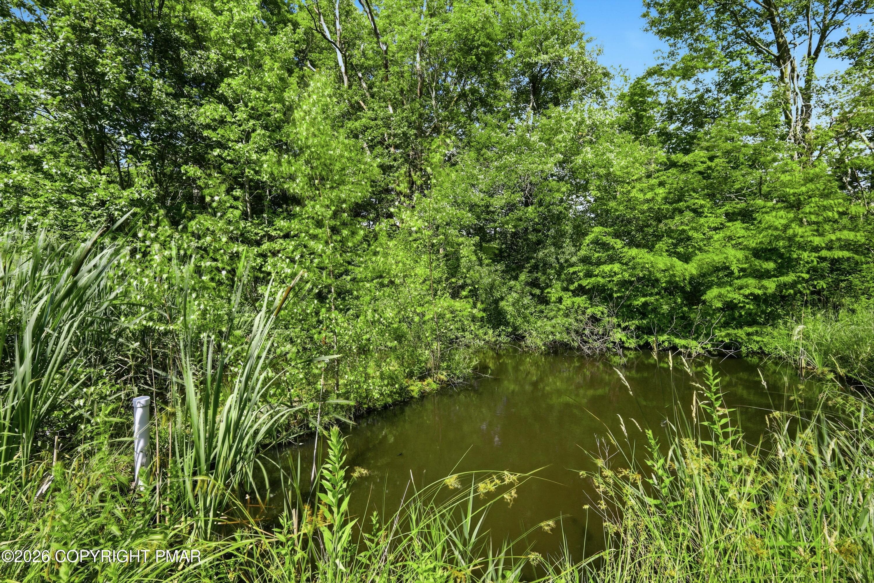 Photo-25 (10) - 1560 Reservoir Road, Madison Township, PA 18444, Madison Township