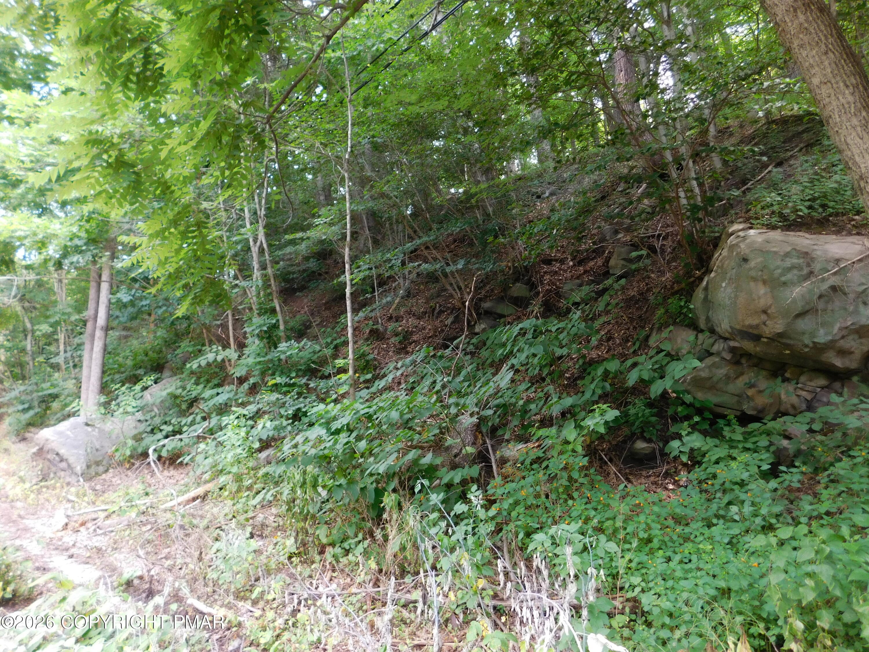 DSCN9118 - 0 Claremont Avenue, Tamaqua, PA 18252, Tamaqua
