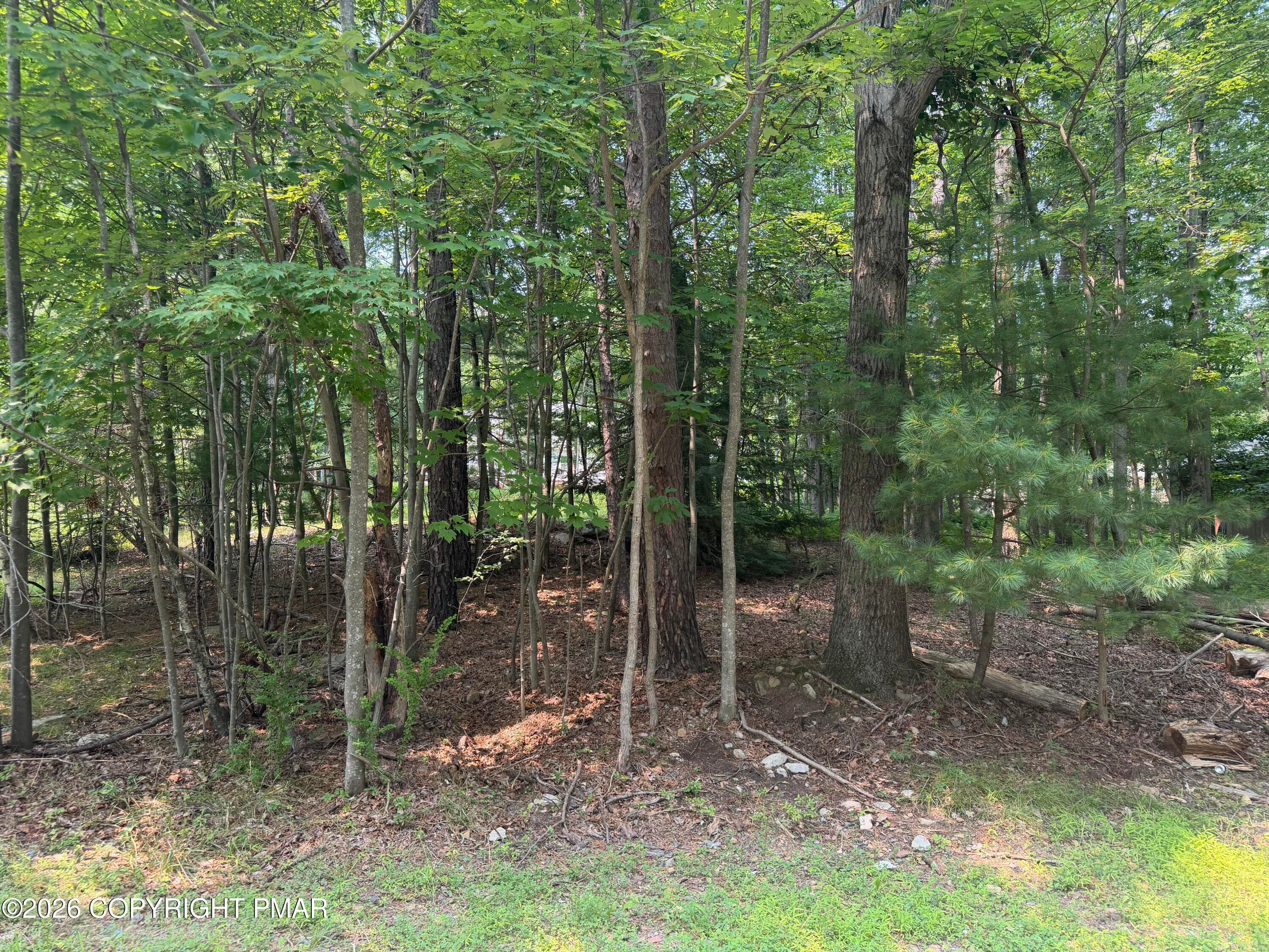 IMG_9425 - Twin Lake Dr D Drive, Kunkletown, PA 18058, Kunkletown