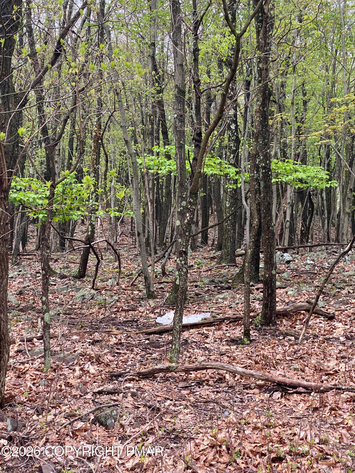 unnamed (12) - Lot 770 Tink Wig Drive, Hawley, PA 18428, Hawley