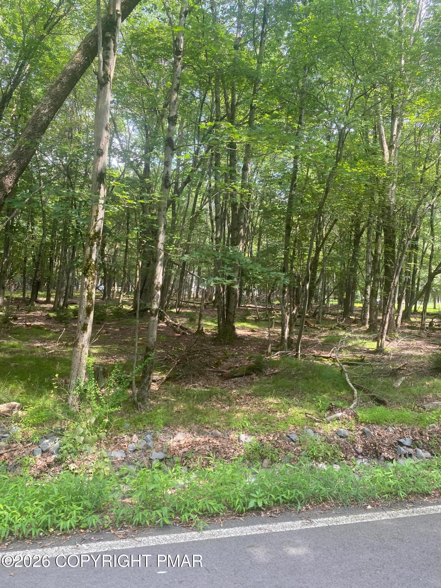 IMG_0398 - Lot 770 Tink Wig Drive, Hawley, PA 18428, Hawley