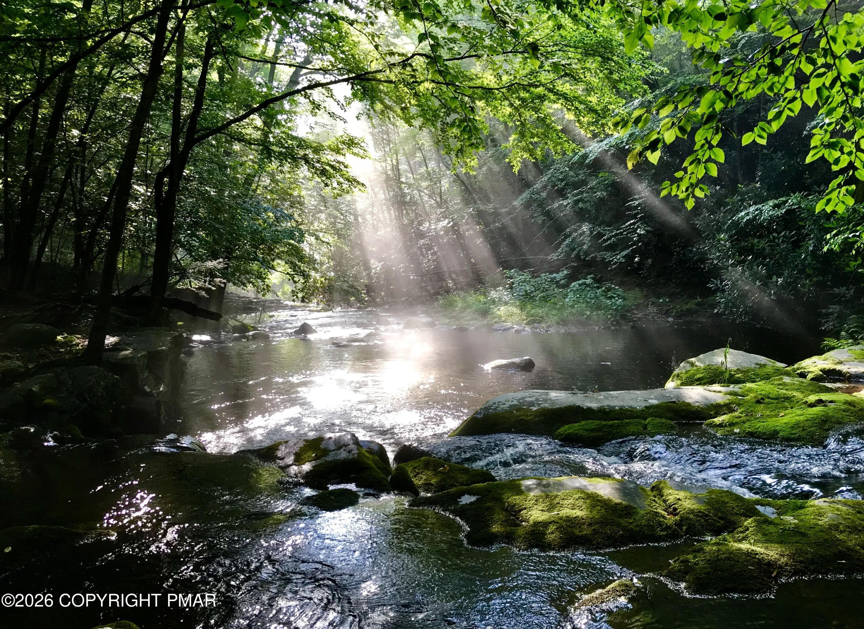 Stream with sun streaming - 109 Creekside Road, Buck Hill Falls, PA 18323, Buck Hill Falls