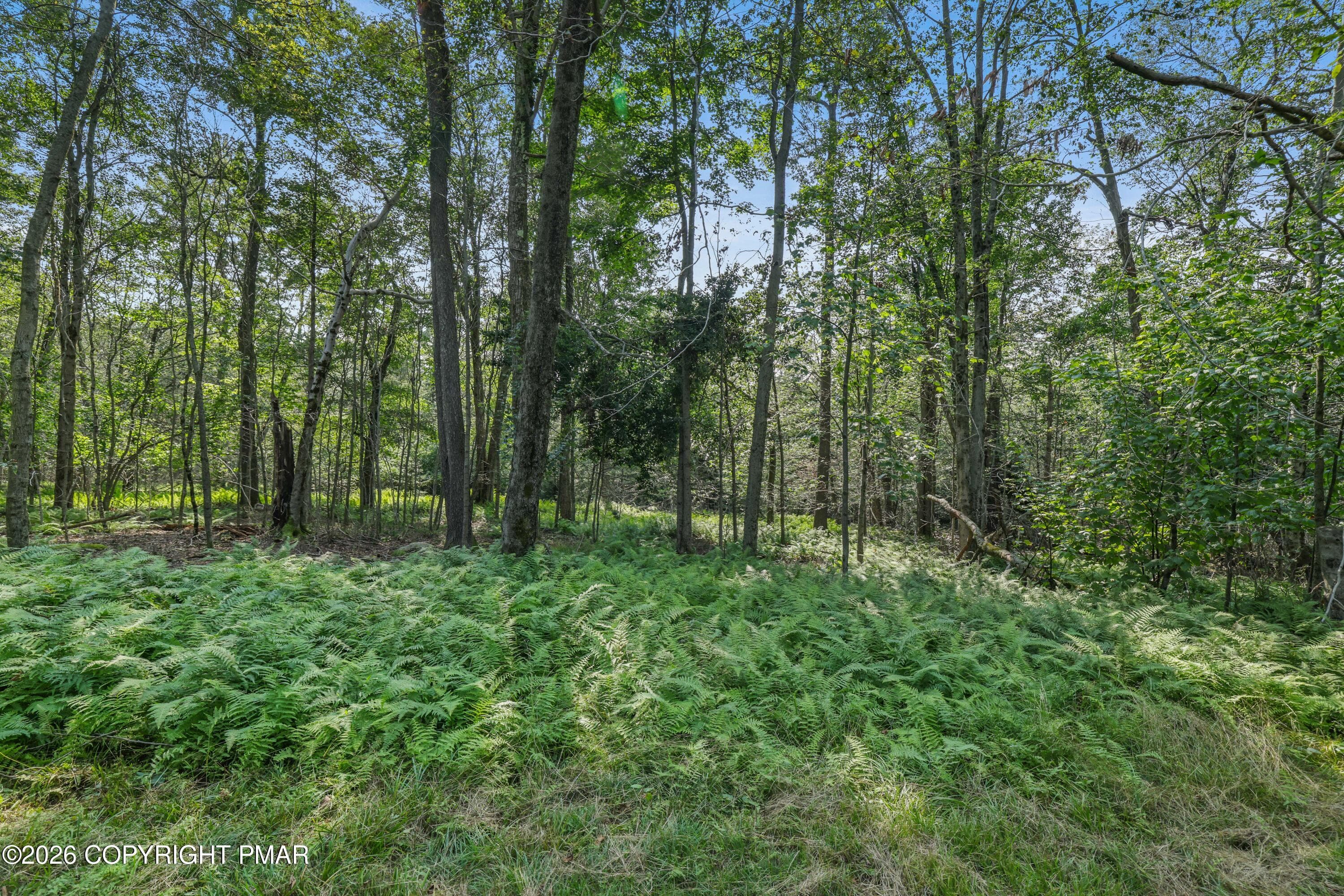 43- Backyard_ - 19 Conservancy Court, Gouldsboro, PA 18424, Gouldsboro