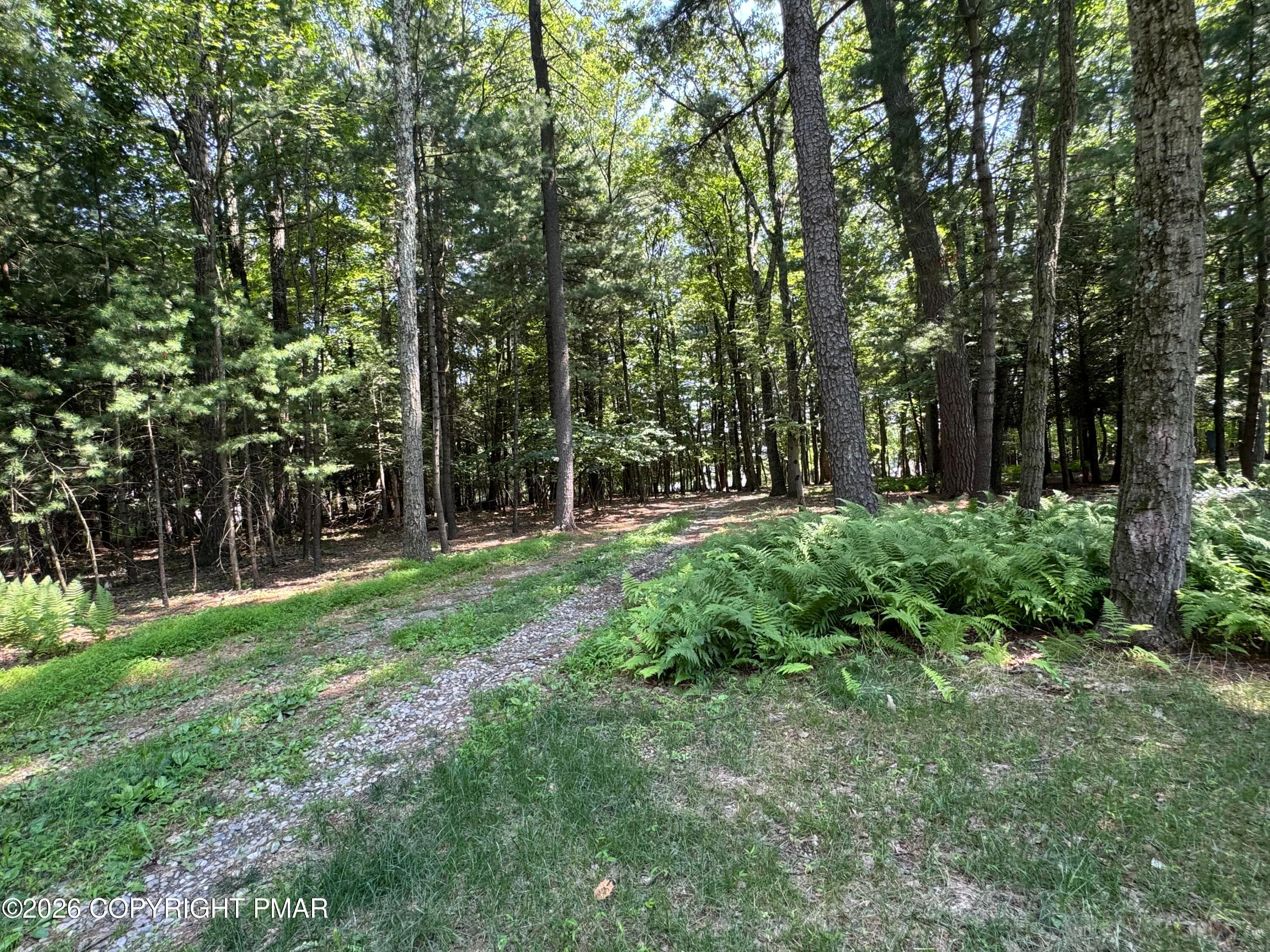 IMG_6536 - 629 Carney Road, Palmerton, PA 18071, Palmerton
