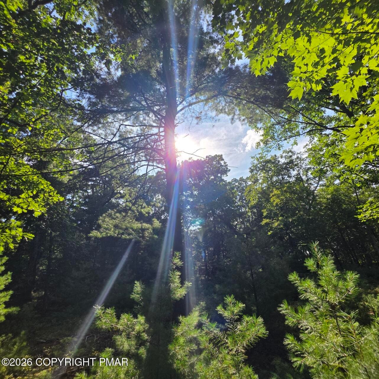 20260821_162049 - 179 Mountain Top Drive, Dingmans Ferry, PA 18328, Dingmans Ferry