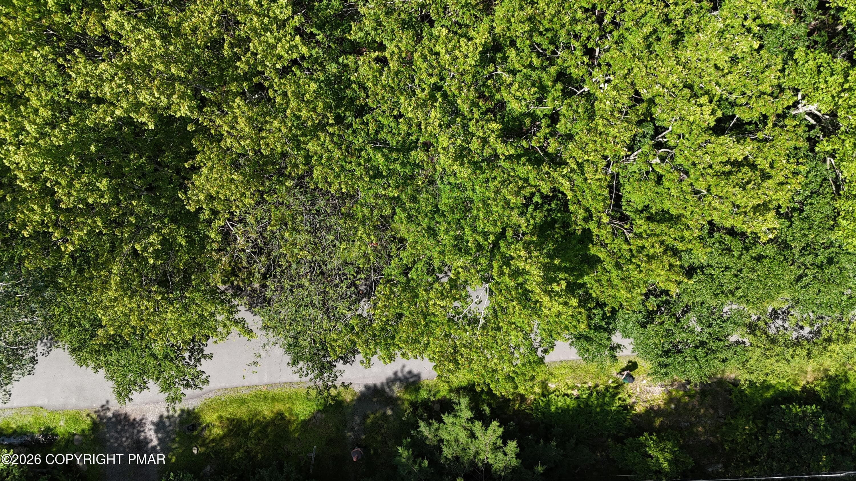 DJI_20260723114730_0014_D - 1206 Locust Lane, Clifton Township, PA 18424, Clifton Township
