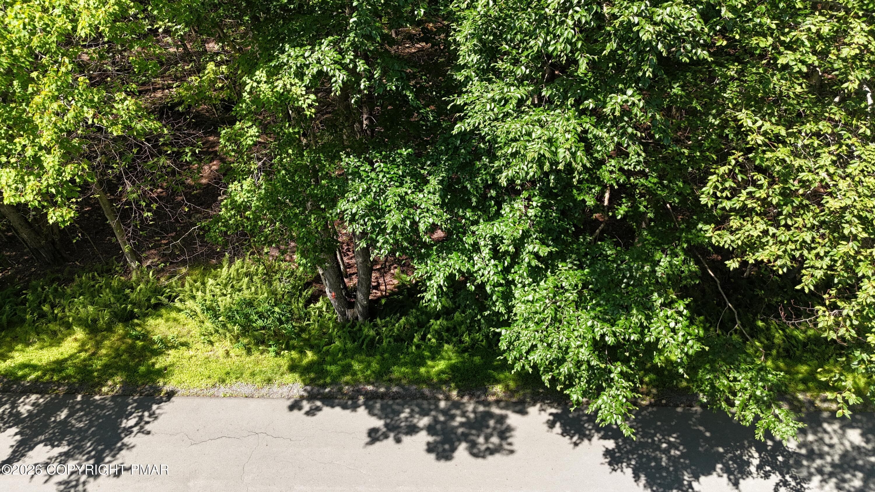 DJI_20260723114859_0016_D - 1206 Locust Lane, Clifton Township, PA 18424, Clifton Township