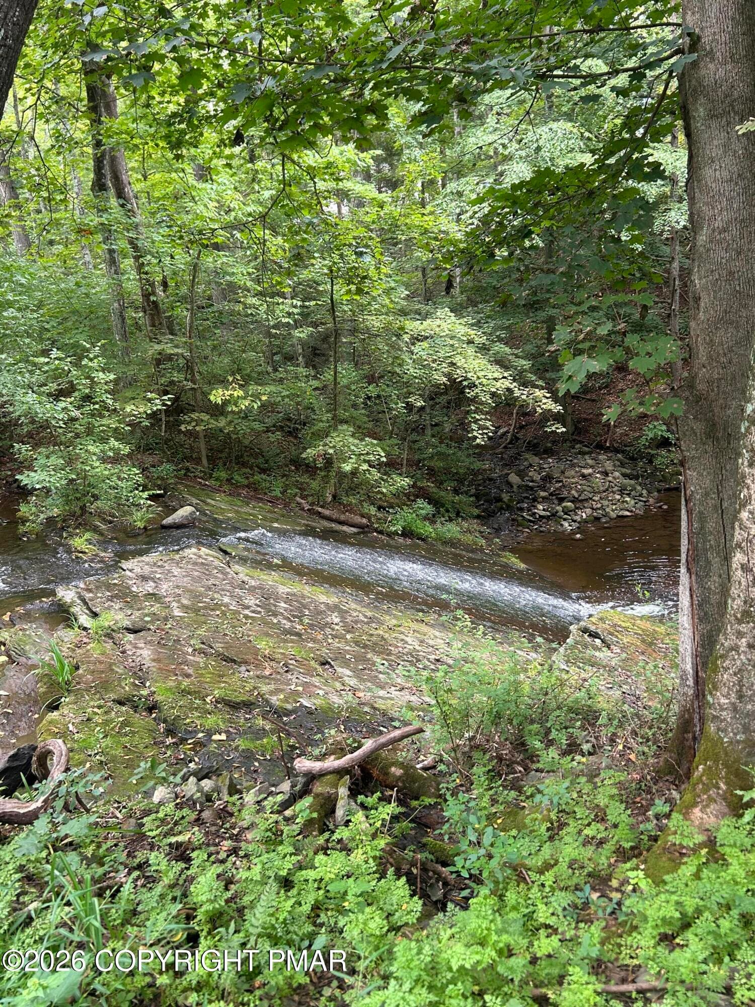 IMG_9787 - 7 Allegheny Road, Mount Bethel, PA 18343, Mount Bethel