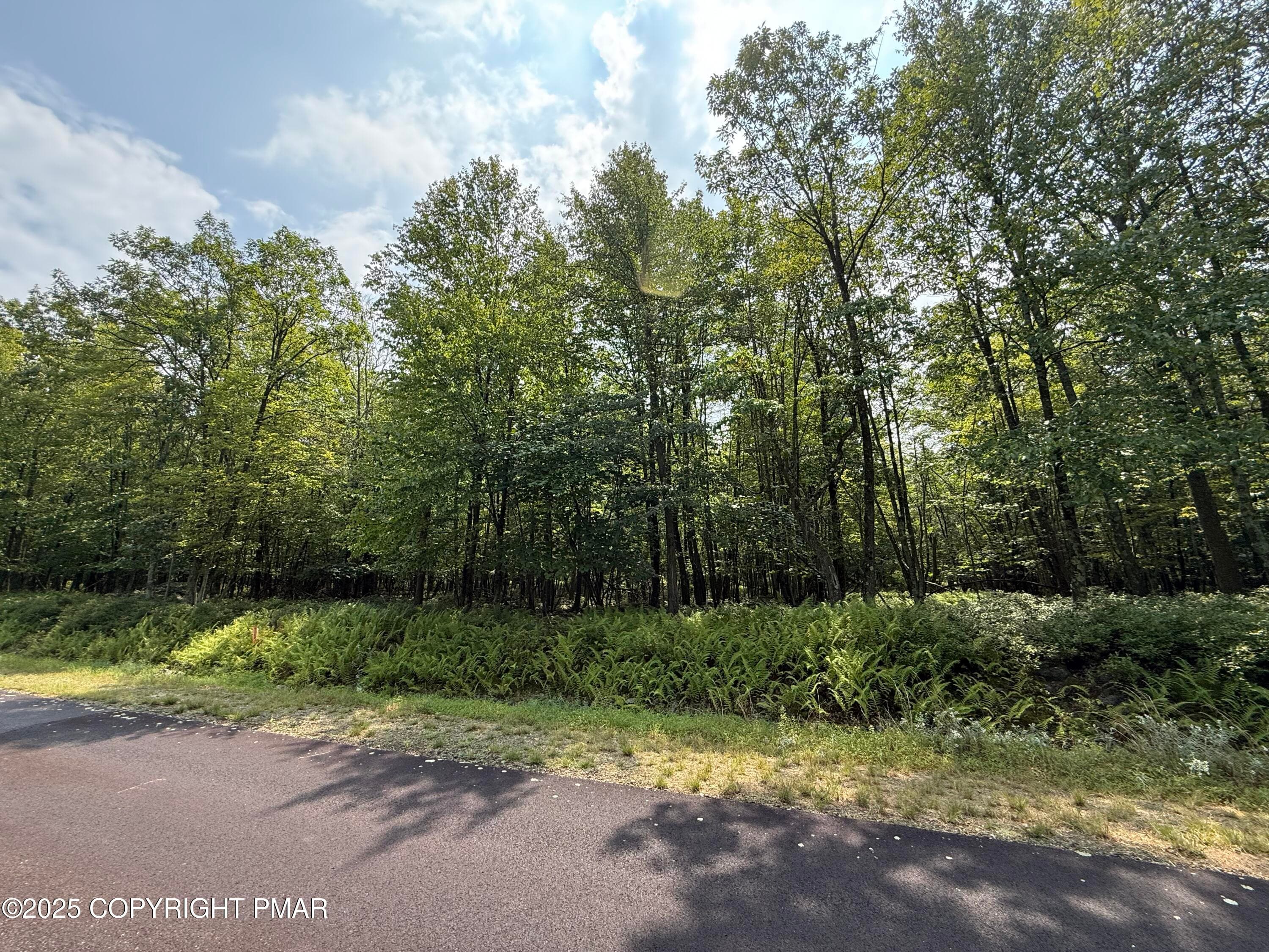 IMG_6550 - 255R Laurel Valley Drive, Hazleton, PA 18202, Hazleton
