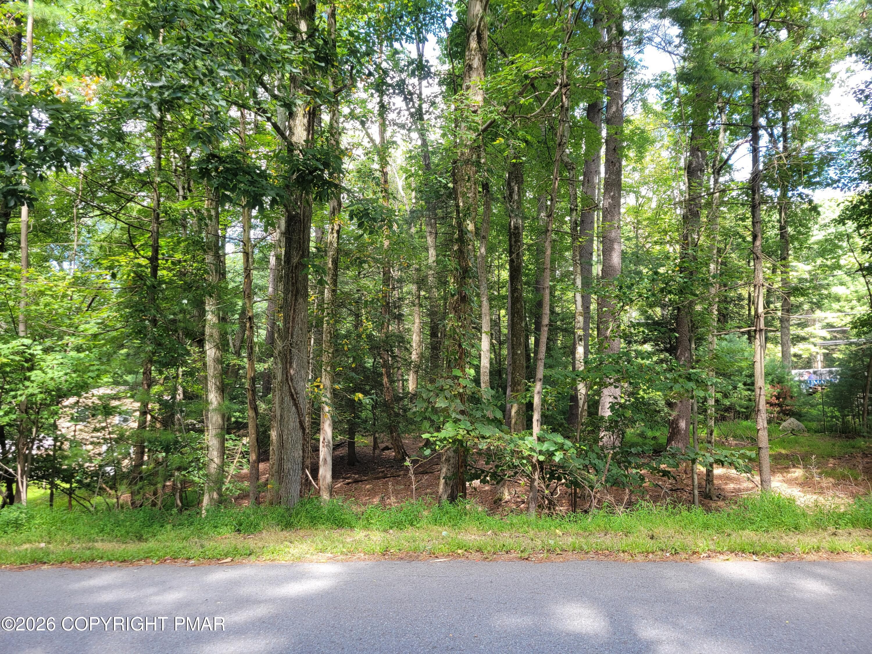 Sawdust Road - Lot 316 Sherwood Forest Road, Saylorsburg, PA 18353, Saylorsburg