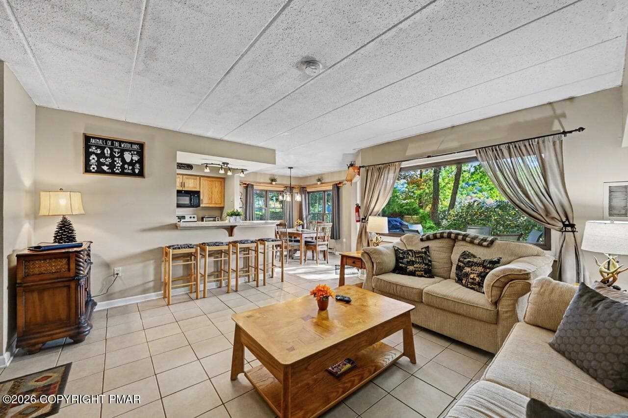 Full View - 59 Midlake Drive 101, Lake Harmony, PA 18624, Lake Harmony