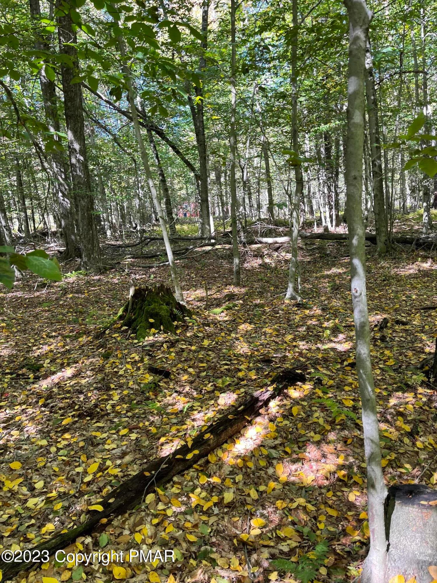 IMG-7293 - FF33HF Breezewood Drive, Albrightsville, PA 18210, Albrightsville