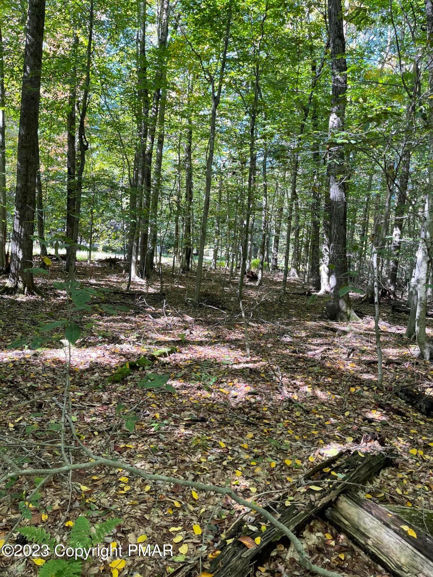IMG-7305 - FF33HF Breezewood Drive, Albrightsville, PA 18210, Albrightsville