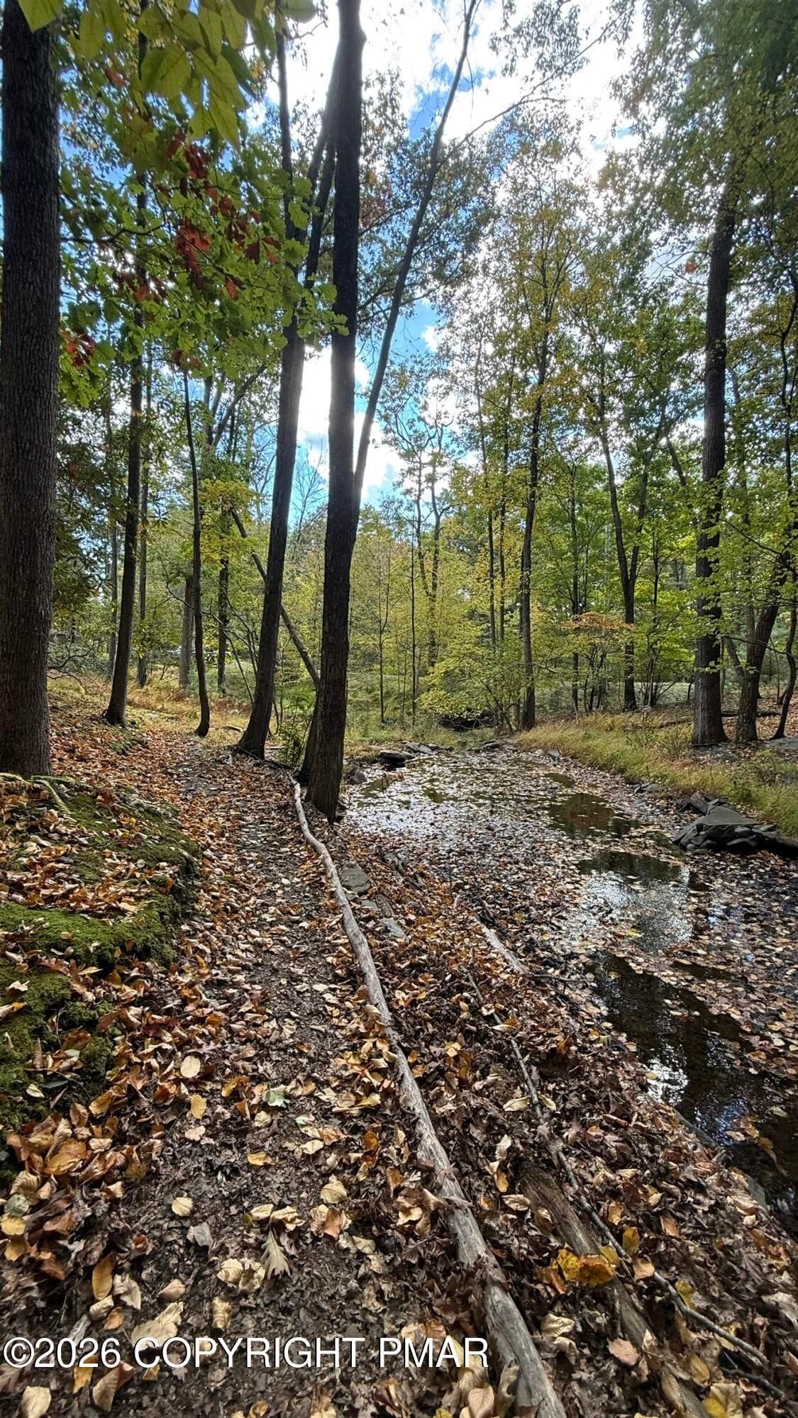 IMG_7711 - 300 Brentwood Drive, Bushkill, PA 18324, Bushkill