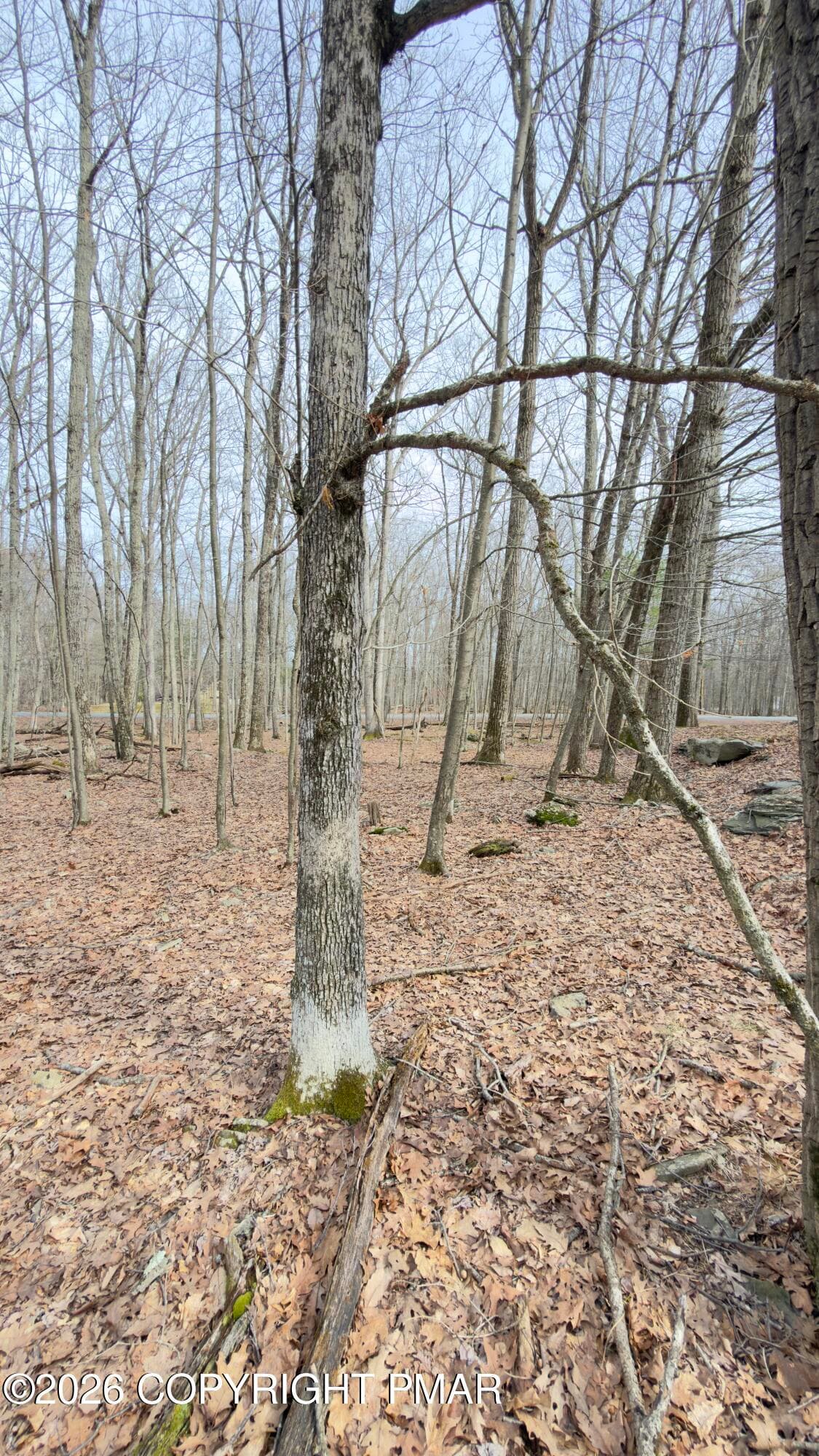 IMG_5634 - Oakridge Circle, lot 37 sec 9, Lackawaxen, PA 18435, Lackawaxen