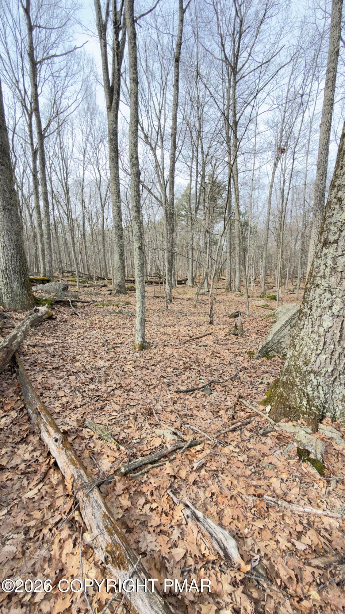 IMG_5636 - Oakridge Circle, lot 37 sec 9, Lackawaxen, PA 18435, Lackawaxen