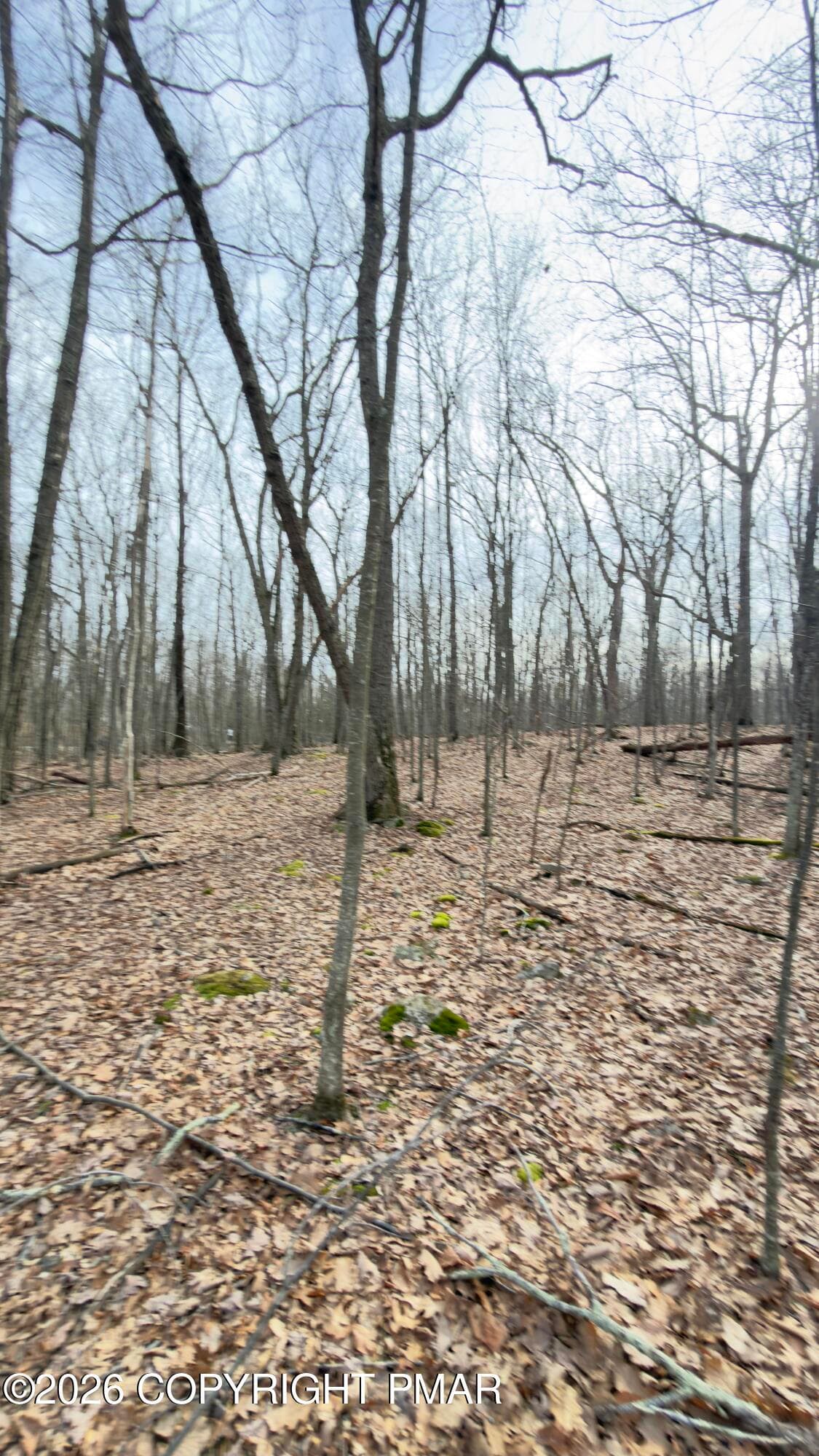 IMG_5653 - lot 51 sec9, Lackawaxen, PA 18435, Lackawaxen
