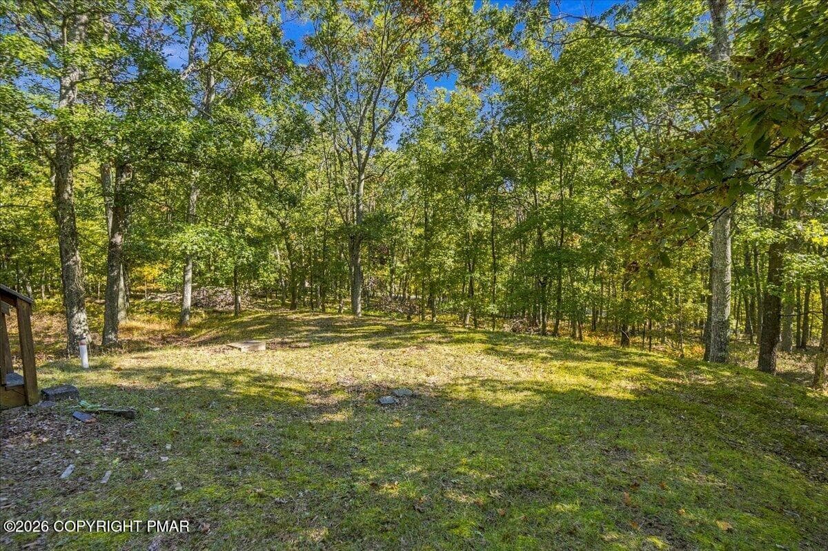 Backyard Area - 195 Mallard Lane, Bushkill, PA 18324, Bushkill