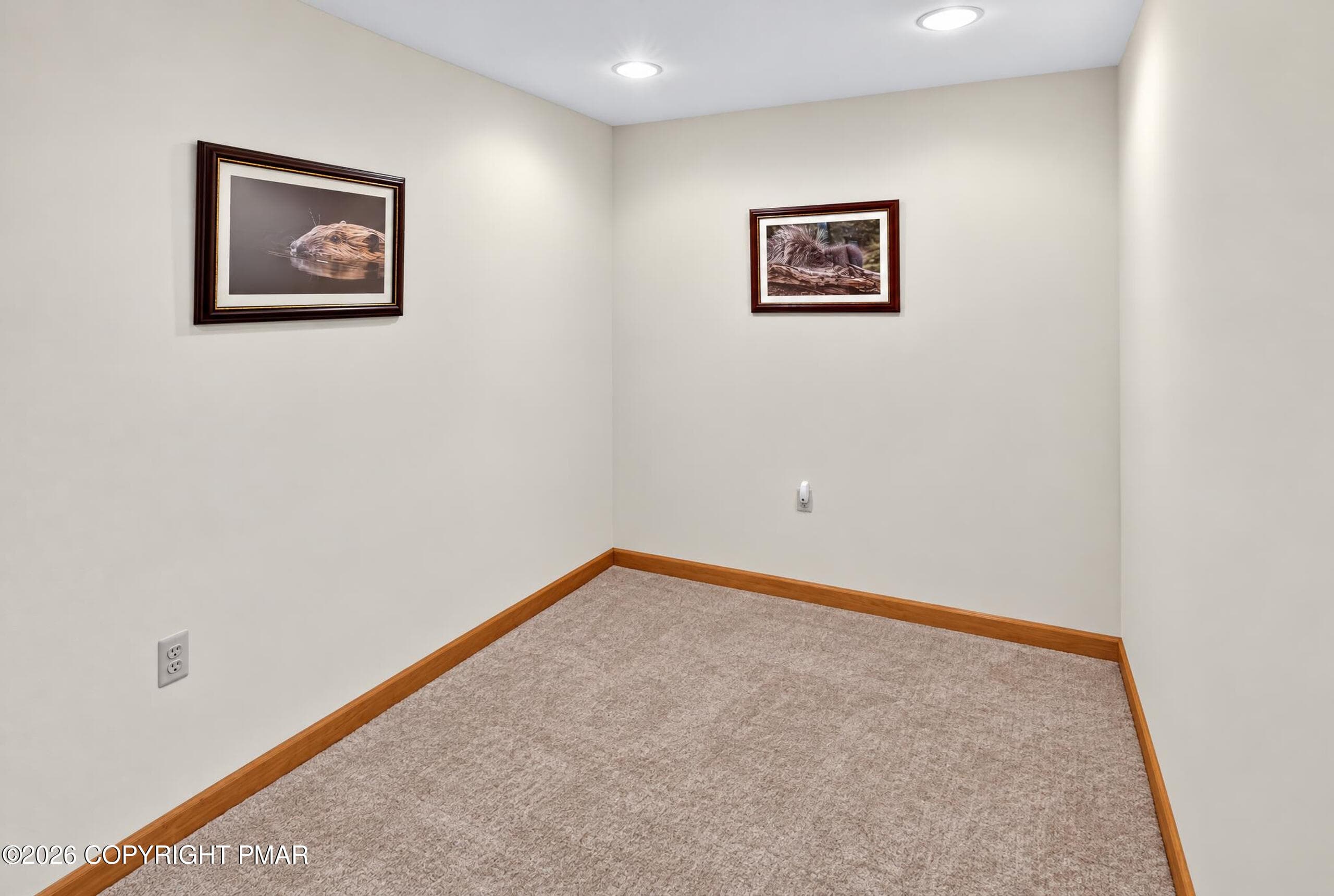 Finished Basement - 31 Algonkin Road, Jim Thorpe, PA 18229, Jim Thorpe