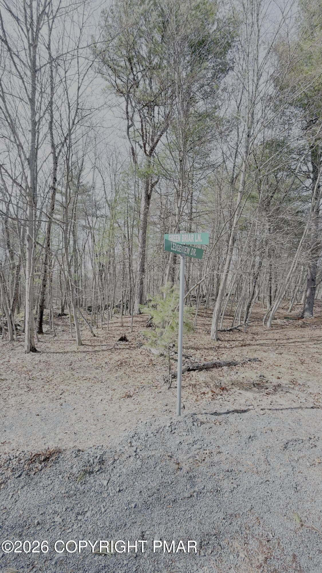 IMG_5589 - Lot 183 Sec 8, lot 183 sec 8, Lackawaxen, PA 18435, Lackawaxen