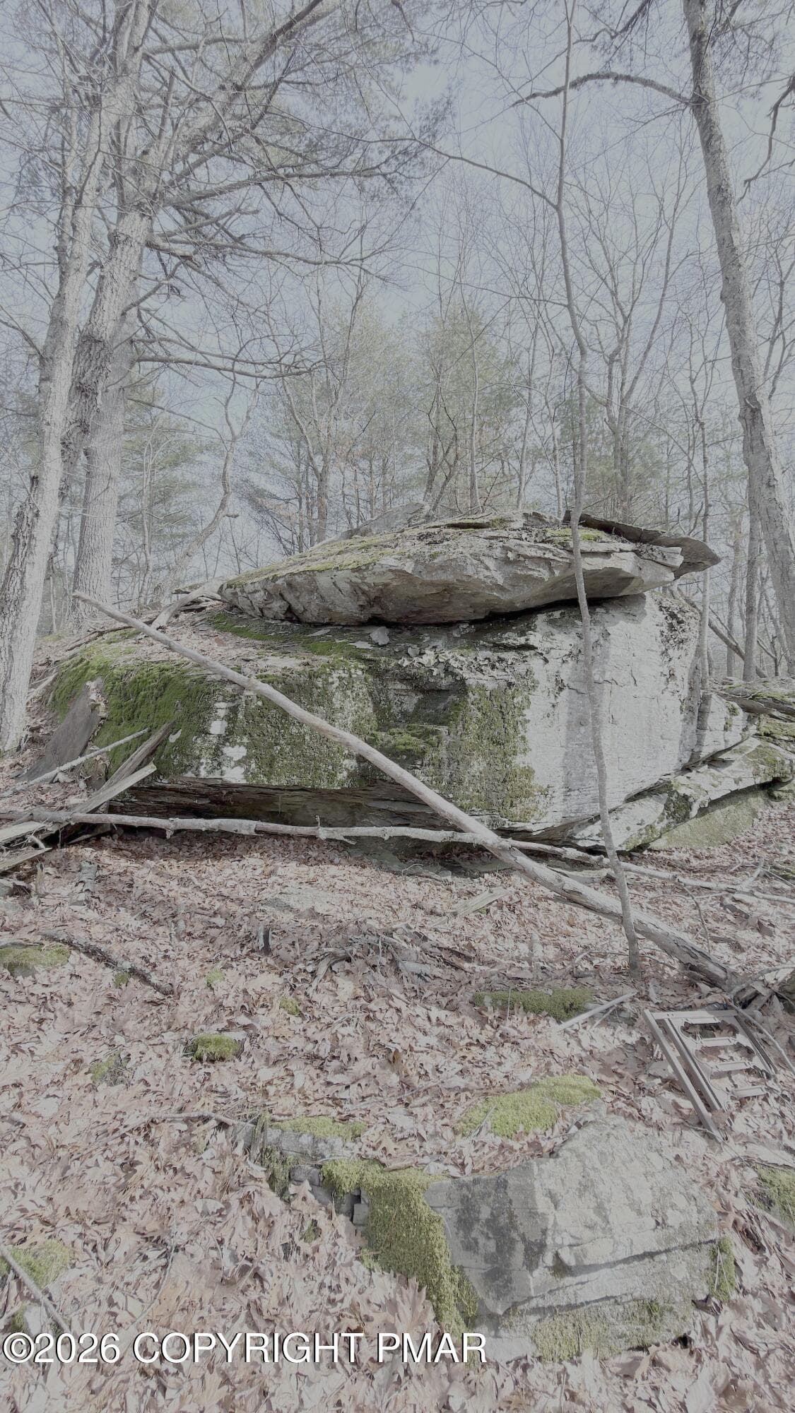 IMG_5590 - Lot 183 Sec 8, lot 183 sec 8, Lackawaxen, PA 18435, Lackawaxen