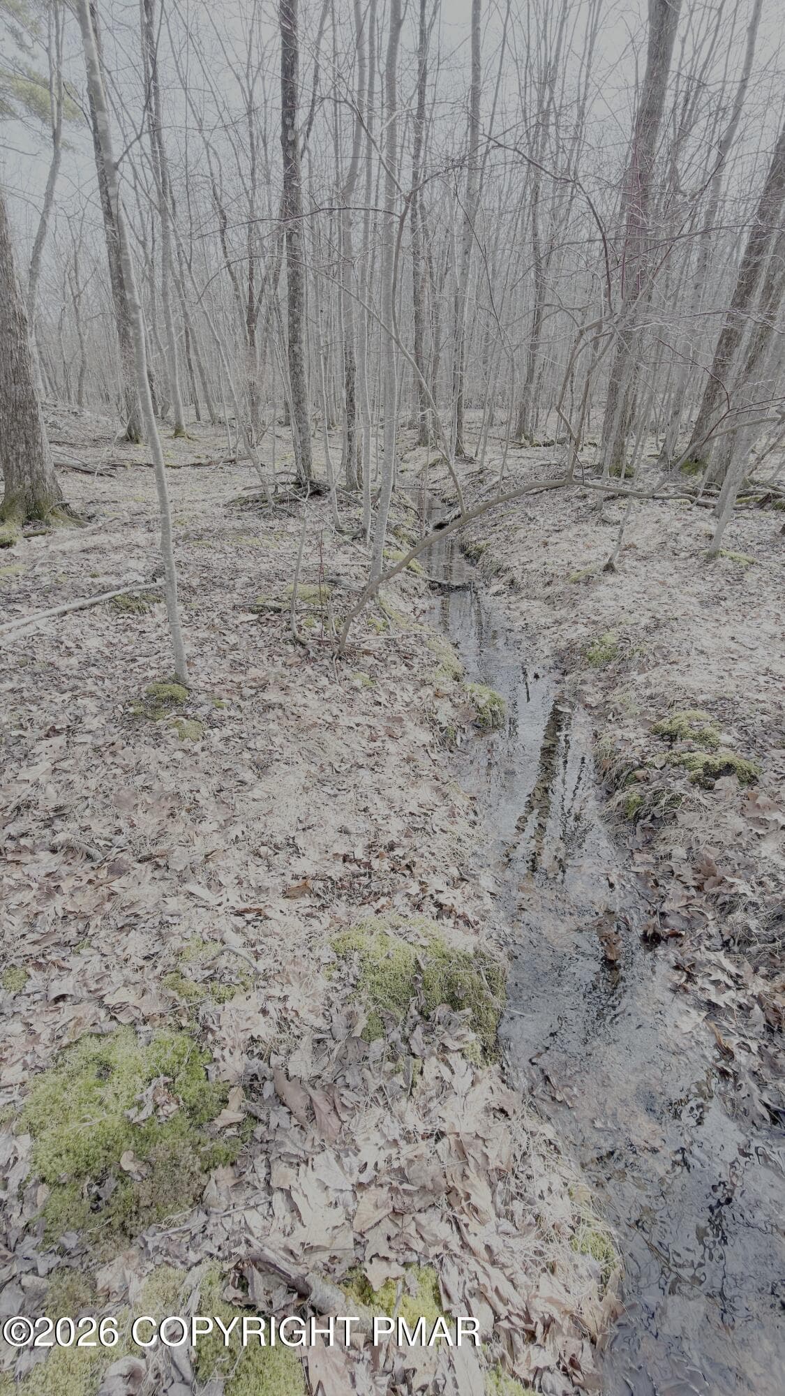 IMG_5594 - Lot 183 Sec 8, lot 183 sec 8, Lackawaxen, PA 18435, Lackawaxen