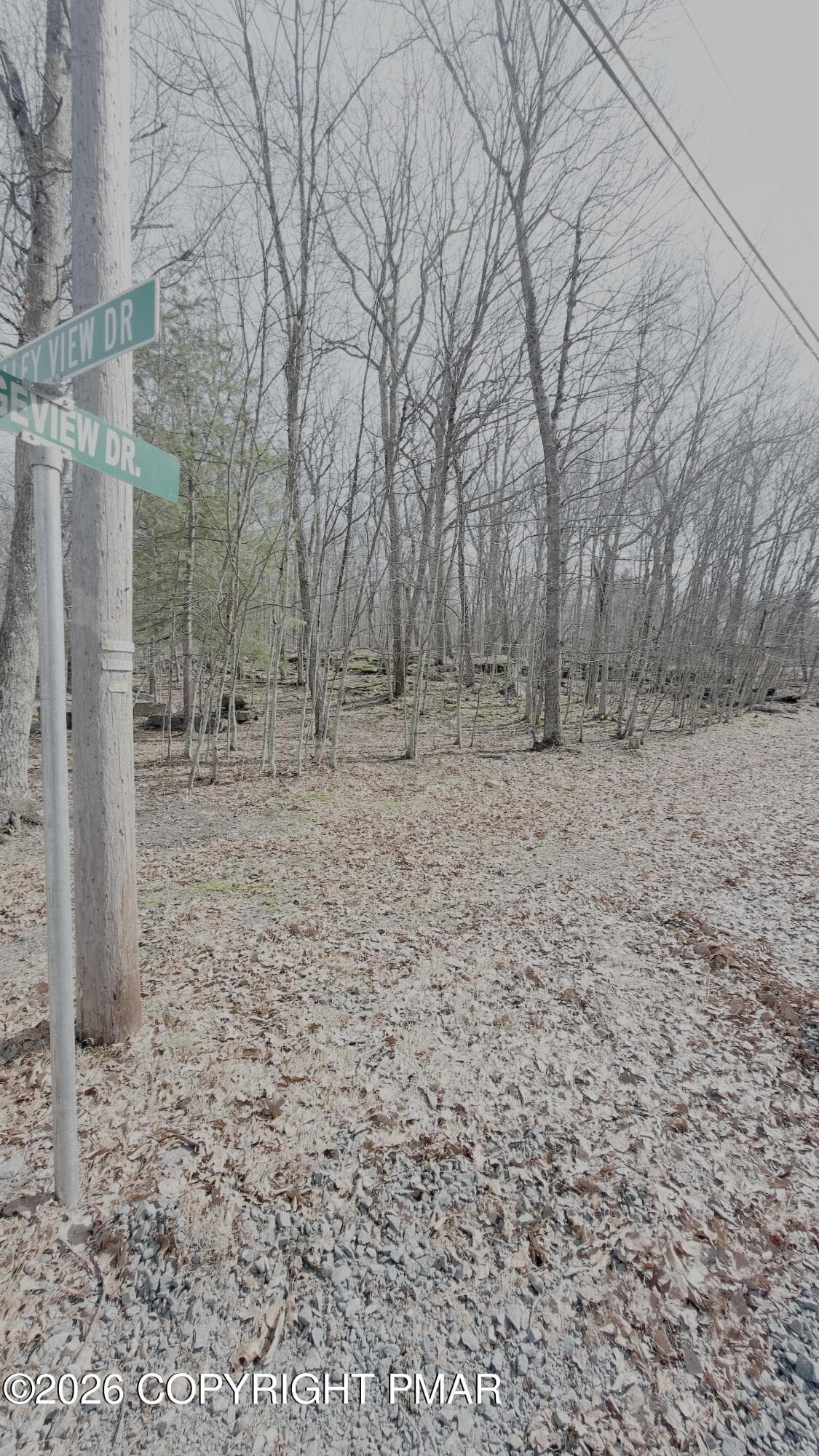 IMG_5551 - lot 27 sec 8, lot 27 sec 8, Lackawaxen, PA 18435, Lackawaxen