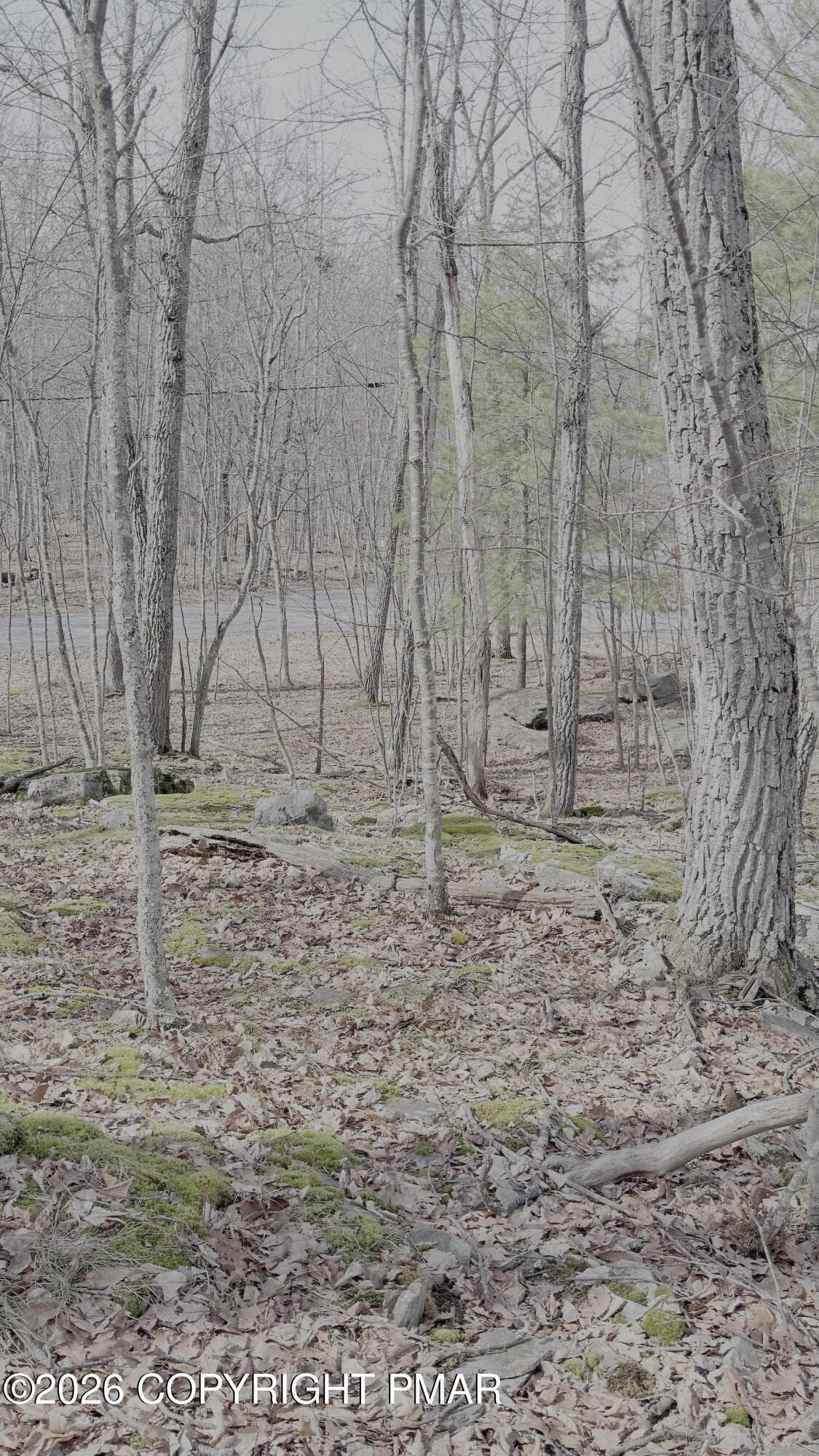 IMG_5558 - lot 27 sec 8, lot 27 sec 8, Lackawaxen, PA 18435, Lackawaxen