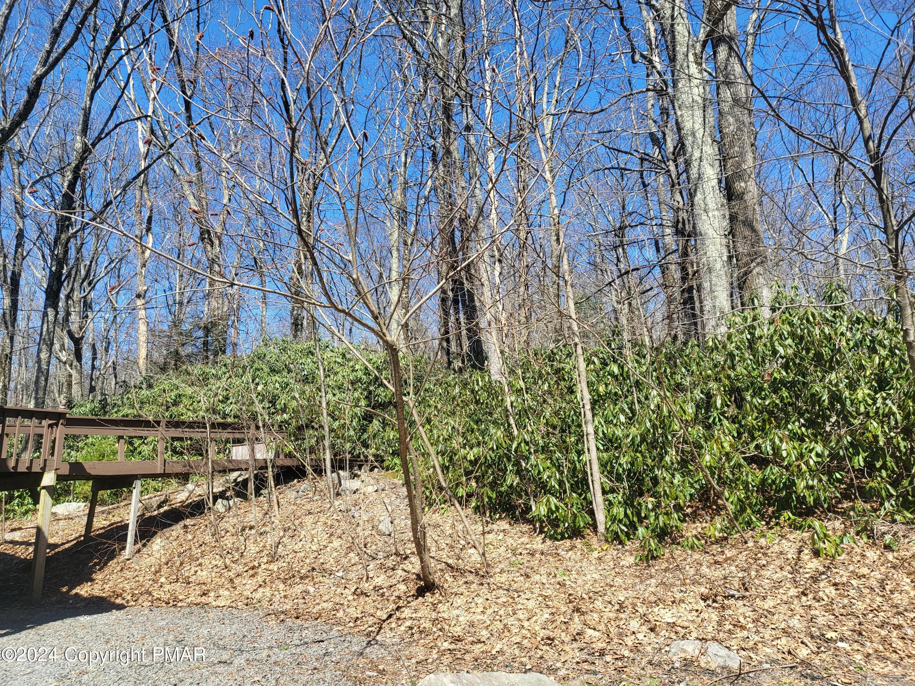Native Rhodedendron - 2153 Gravel Road, Canadensis, PA 18325, Canadensis