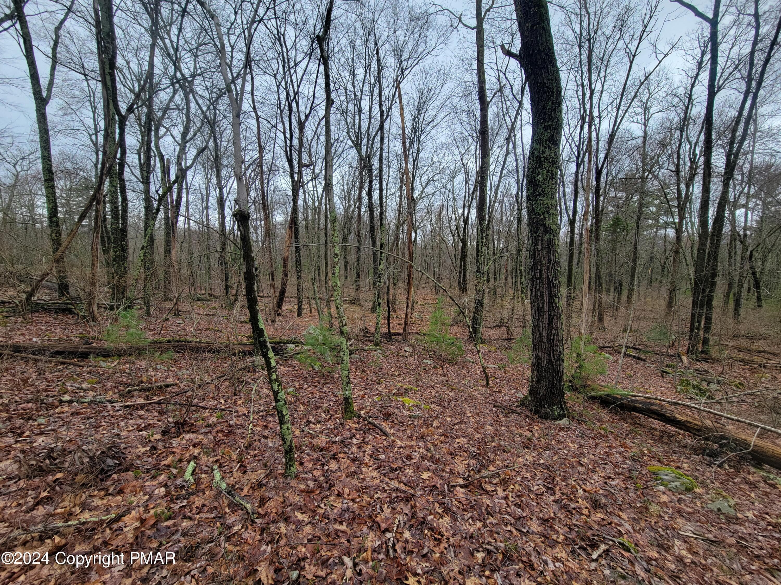 Upper End of Lot - PA-739, Dingmans Ferry, PA 18328, Dingmans Ferry