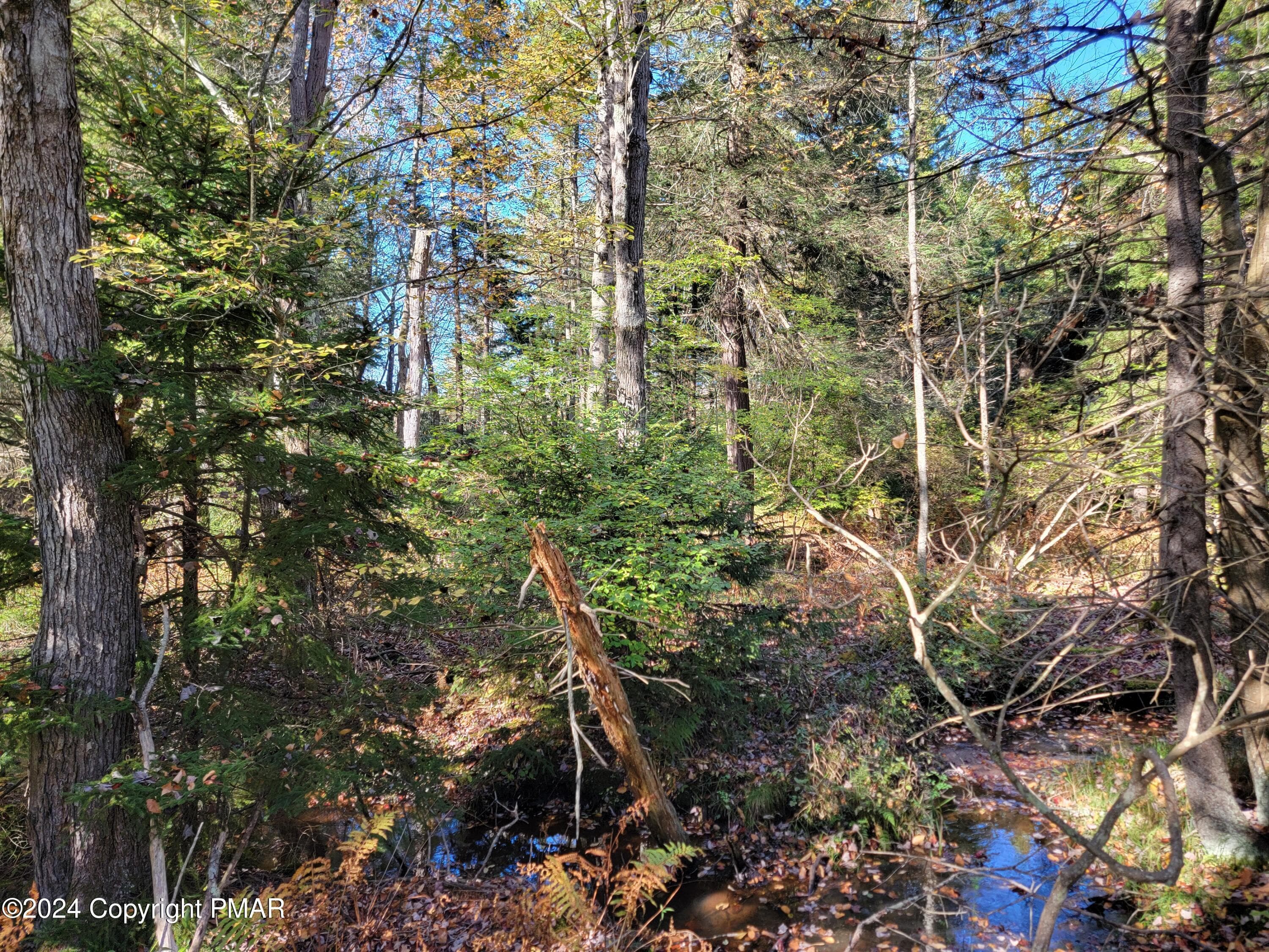 20241003_154138 - LOT 18& 19 Louis Lane, Gouldsboro, PA 18424, Gouldsboro