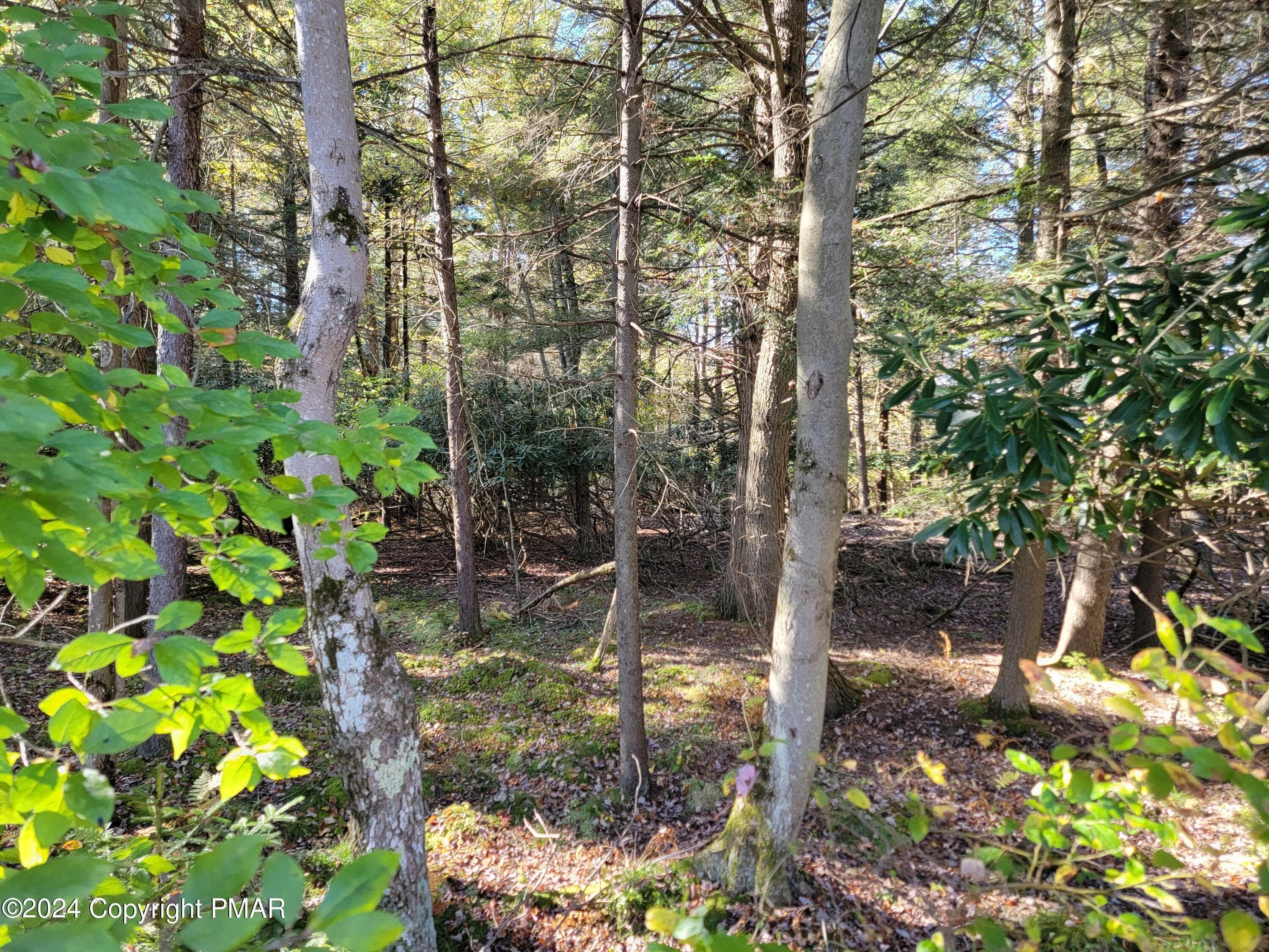 20241003_154245 - LOT 18& 19 Louis Lane, Gouldsboro, PA 18424, Gouldsboro