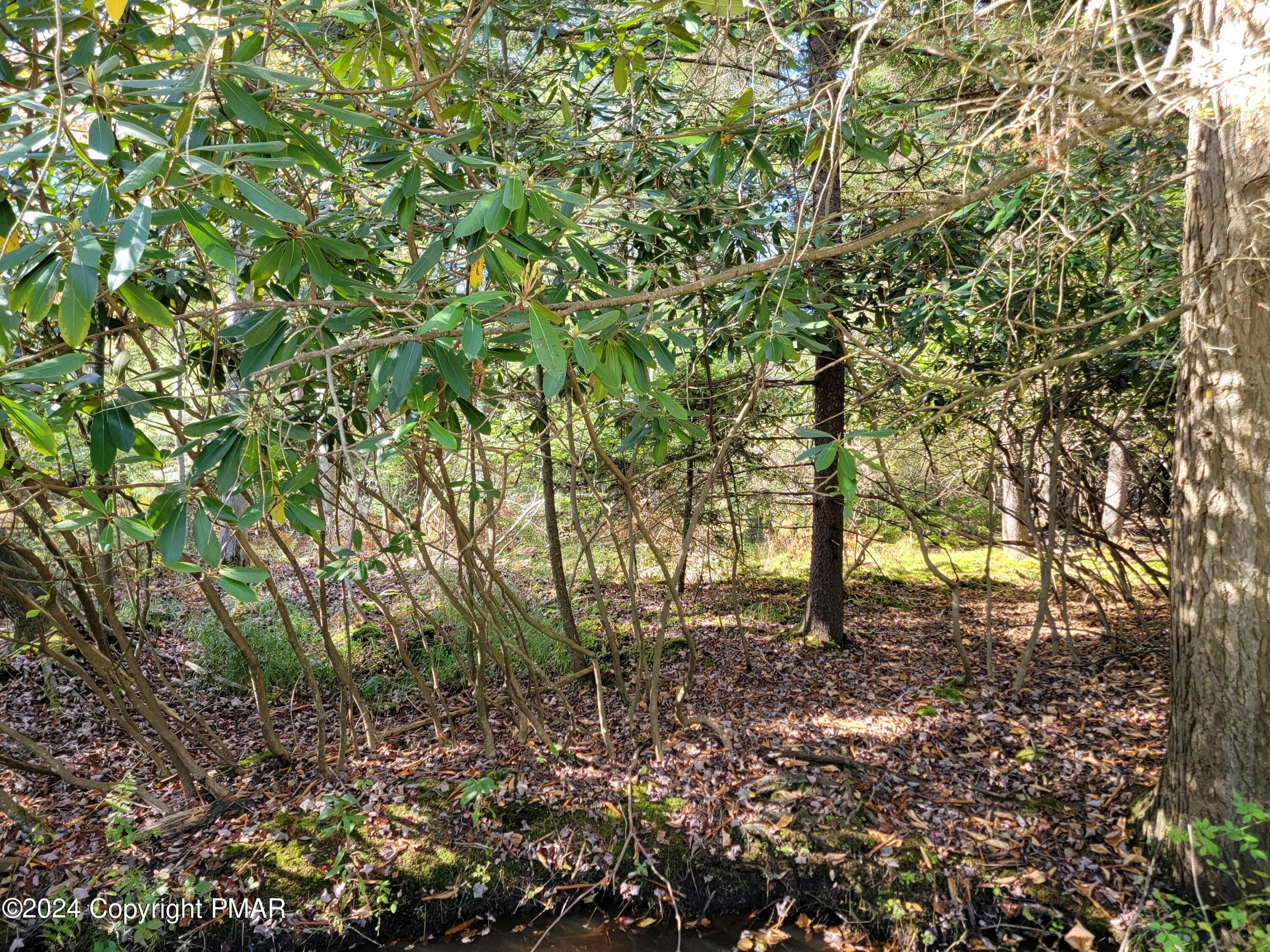 20241003_154205 - LOT 18& 19 Louis Lane, Gouldsboro, PA 18424, Gouldsboro